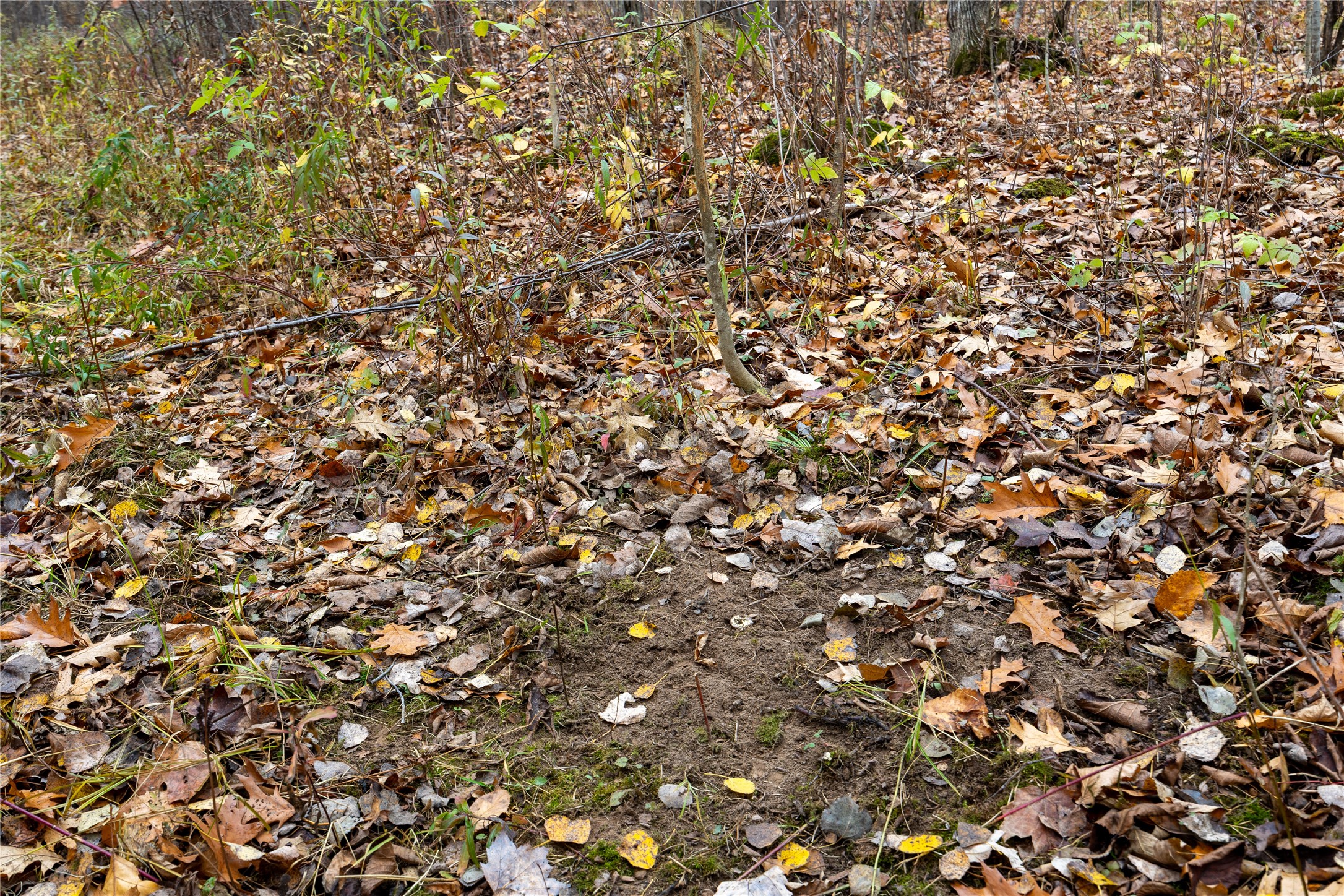 Property Photo #33
