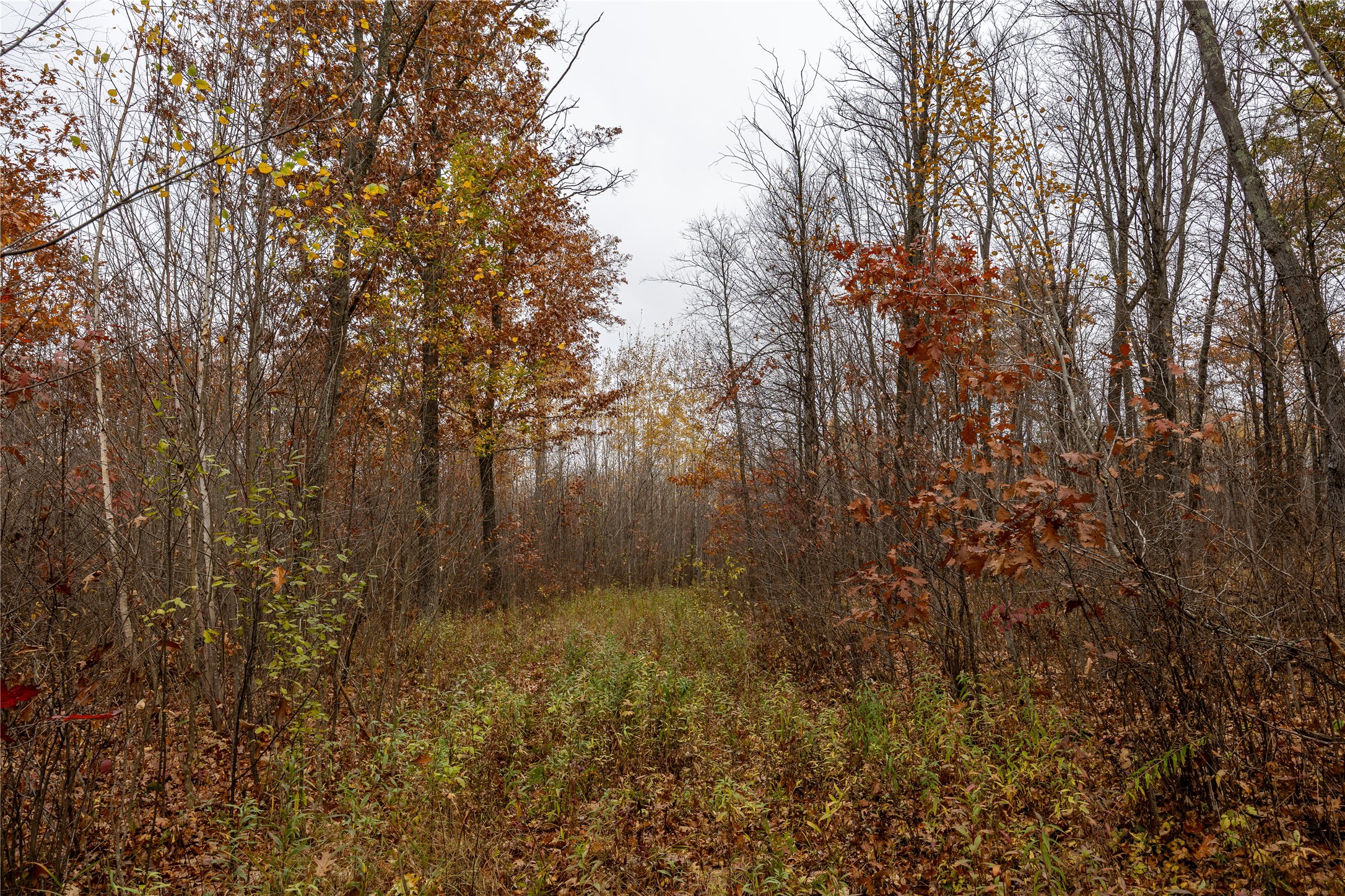 Property Photo #34