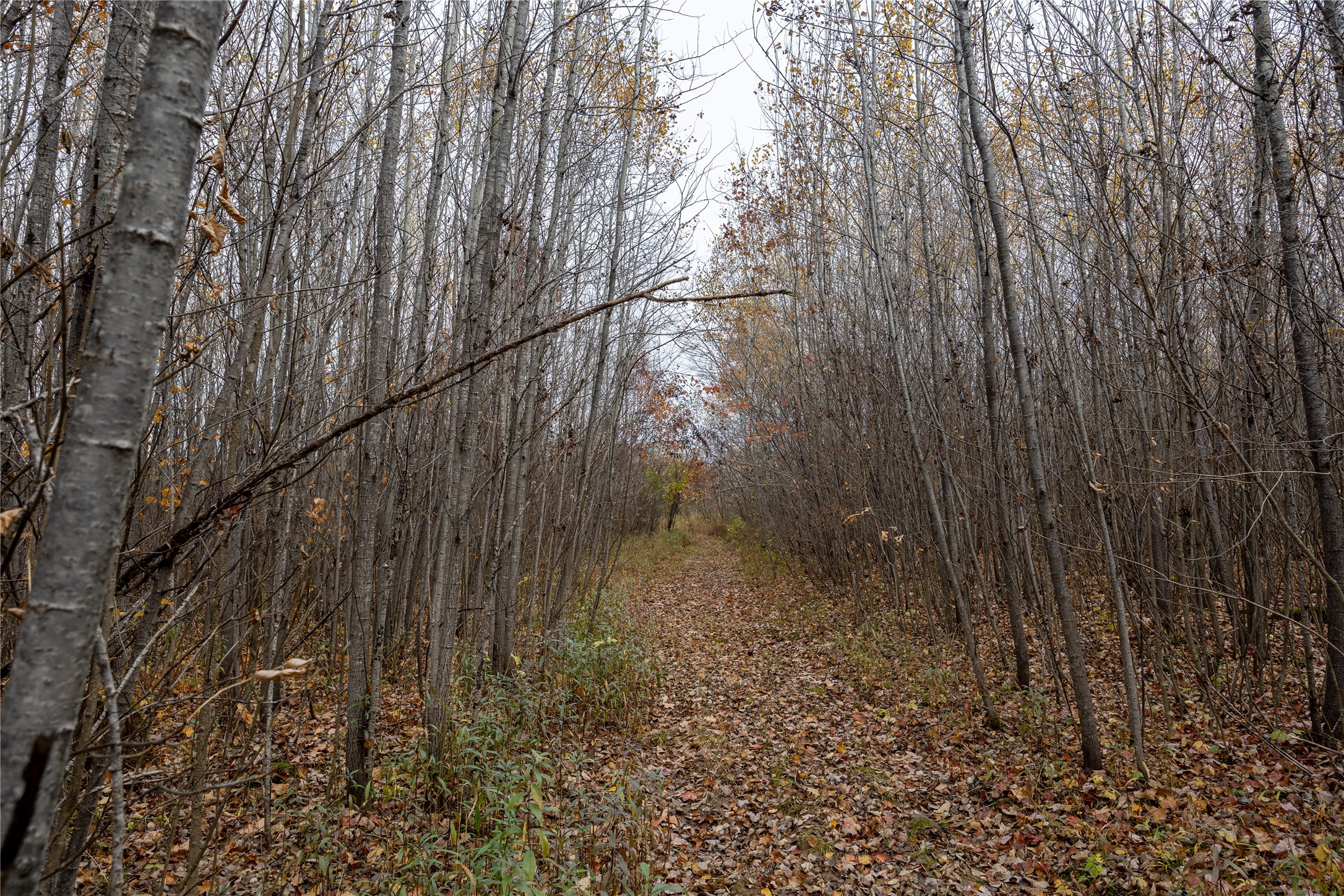 Property Photo #35