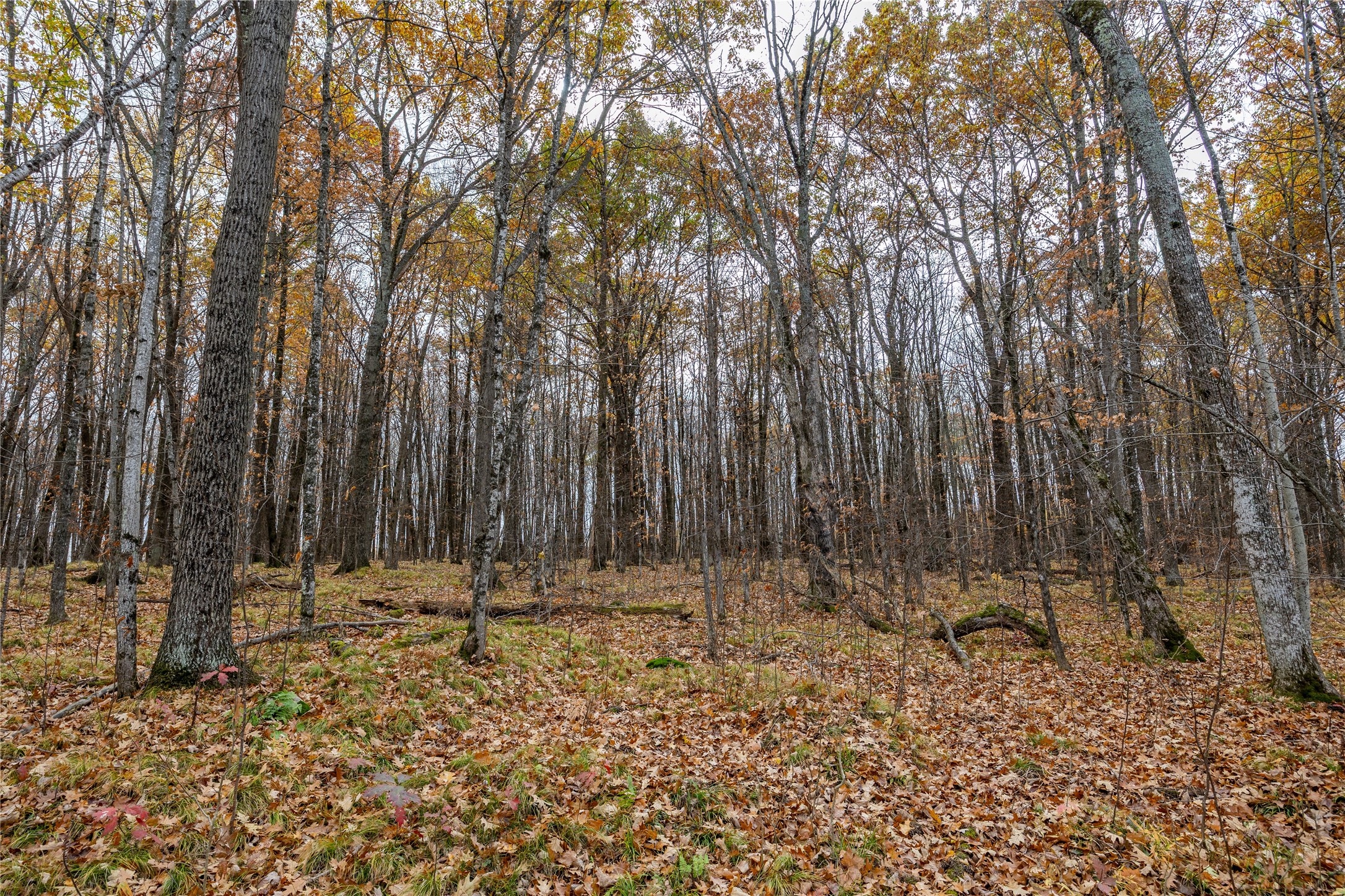 Property Photo #4