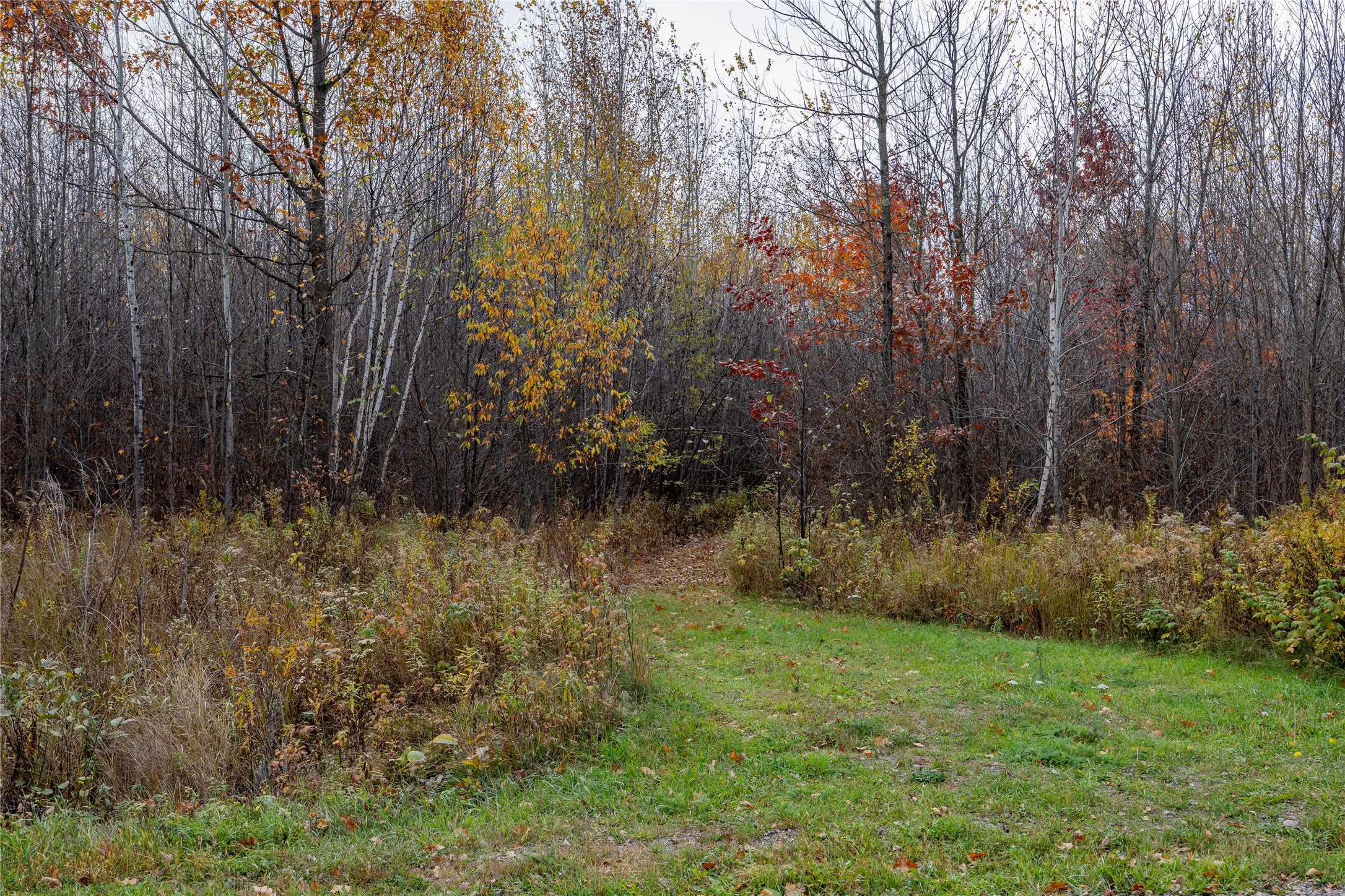 Property Photo #5