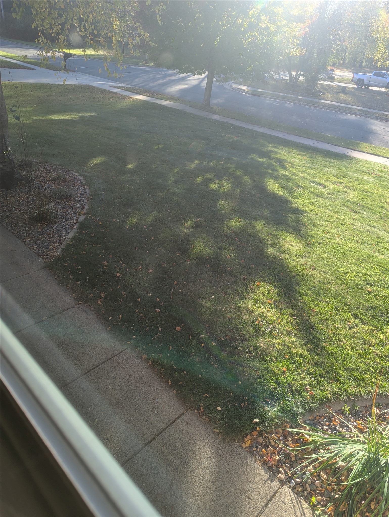 Photo 49