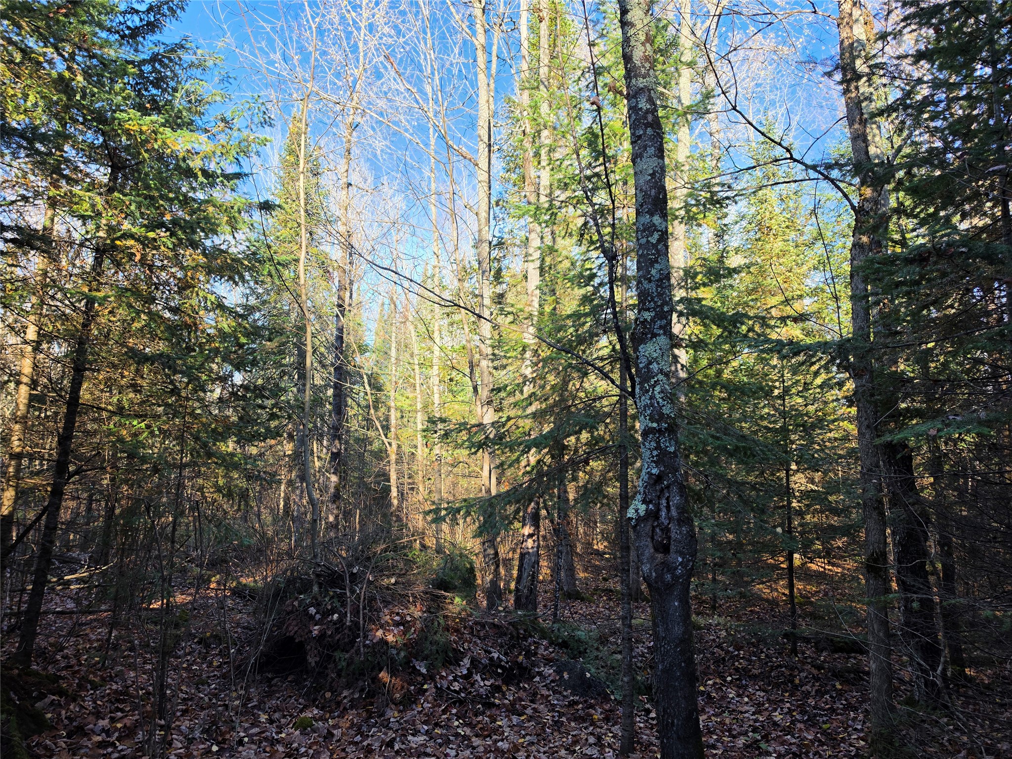 Property Photo #35