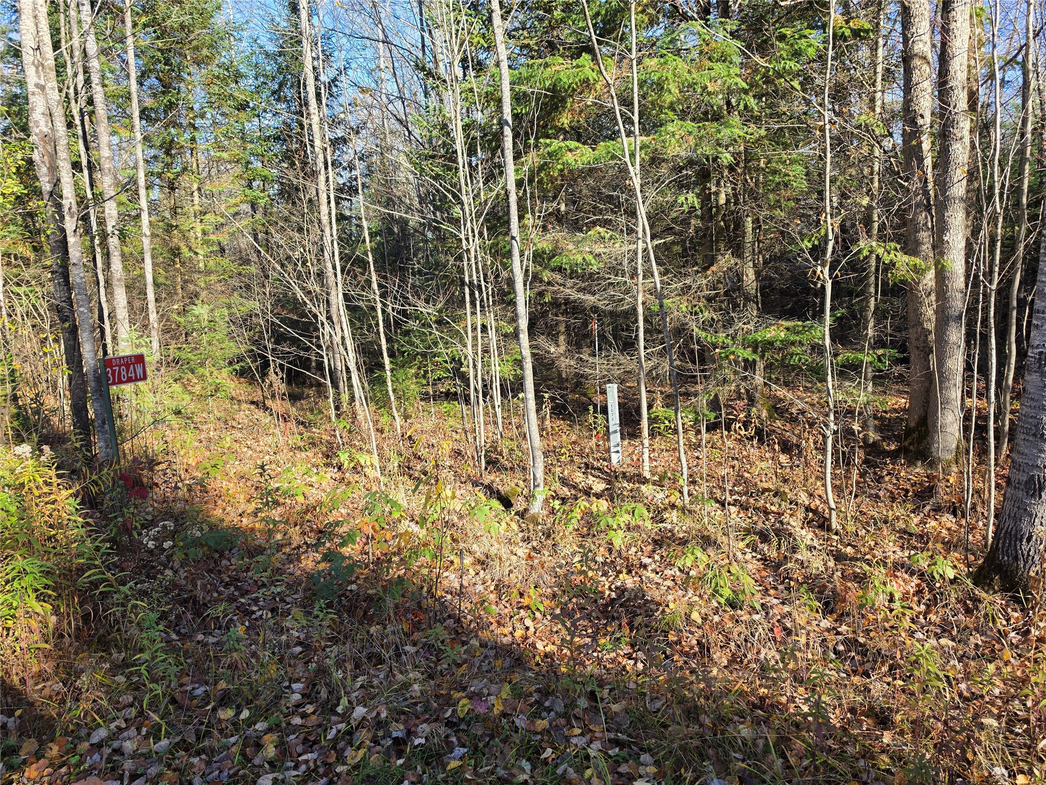 Property Photo #36