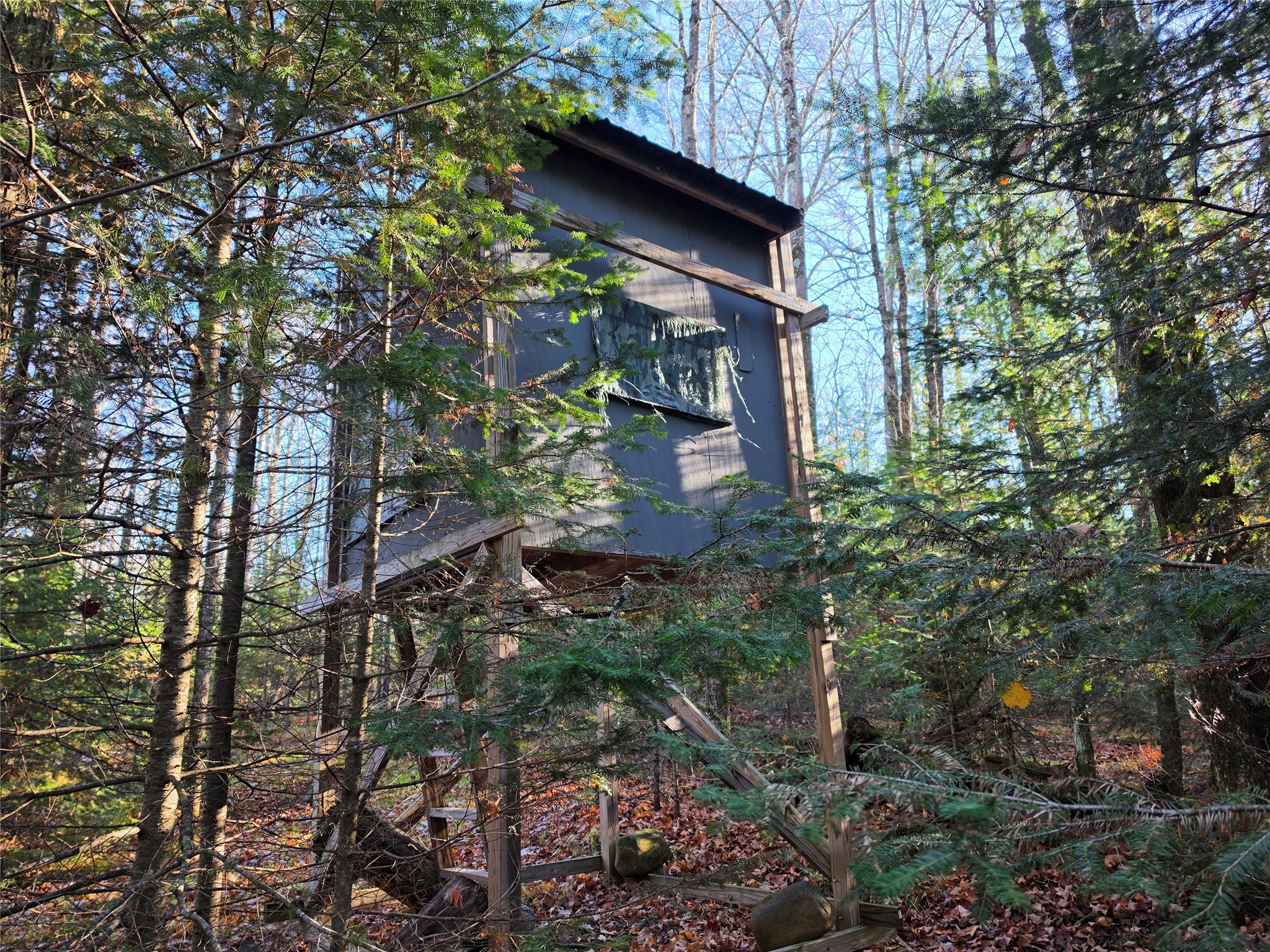 Property Photo #4