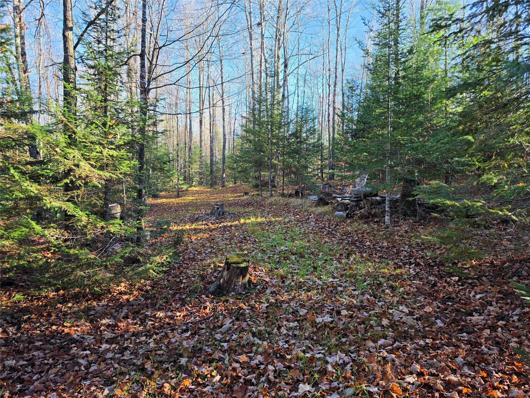 Property Photo #5