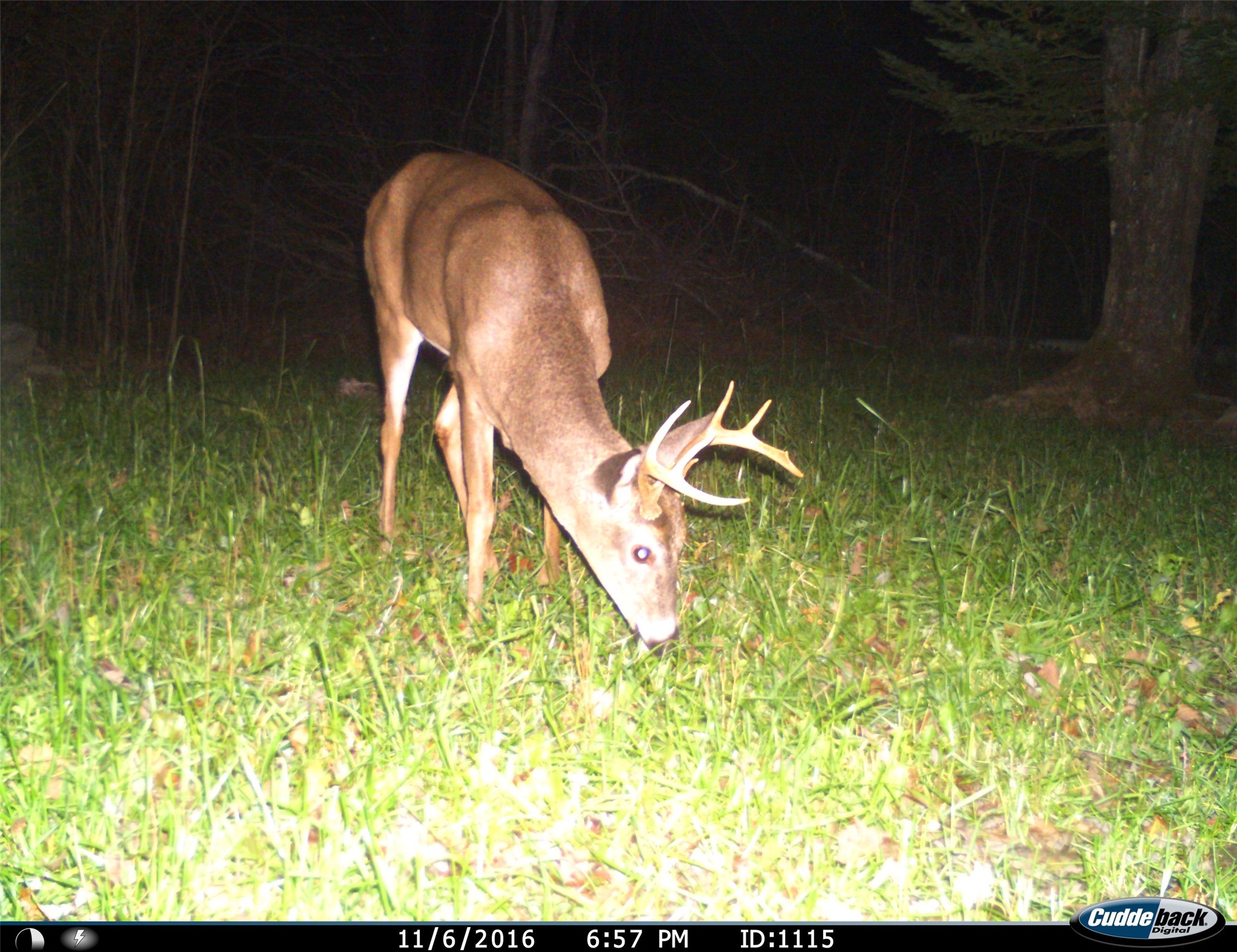 Property Photo #6