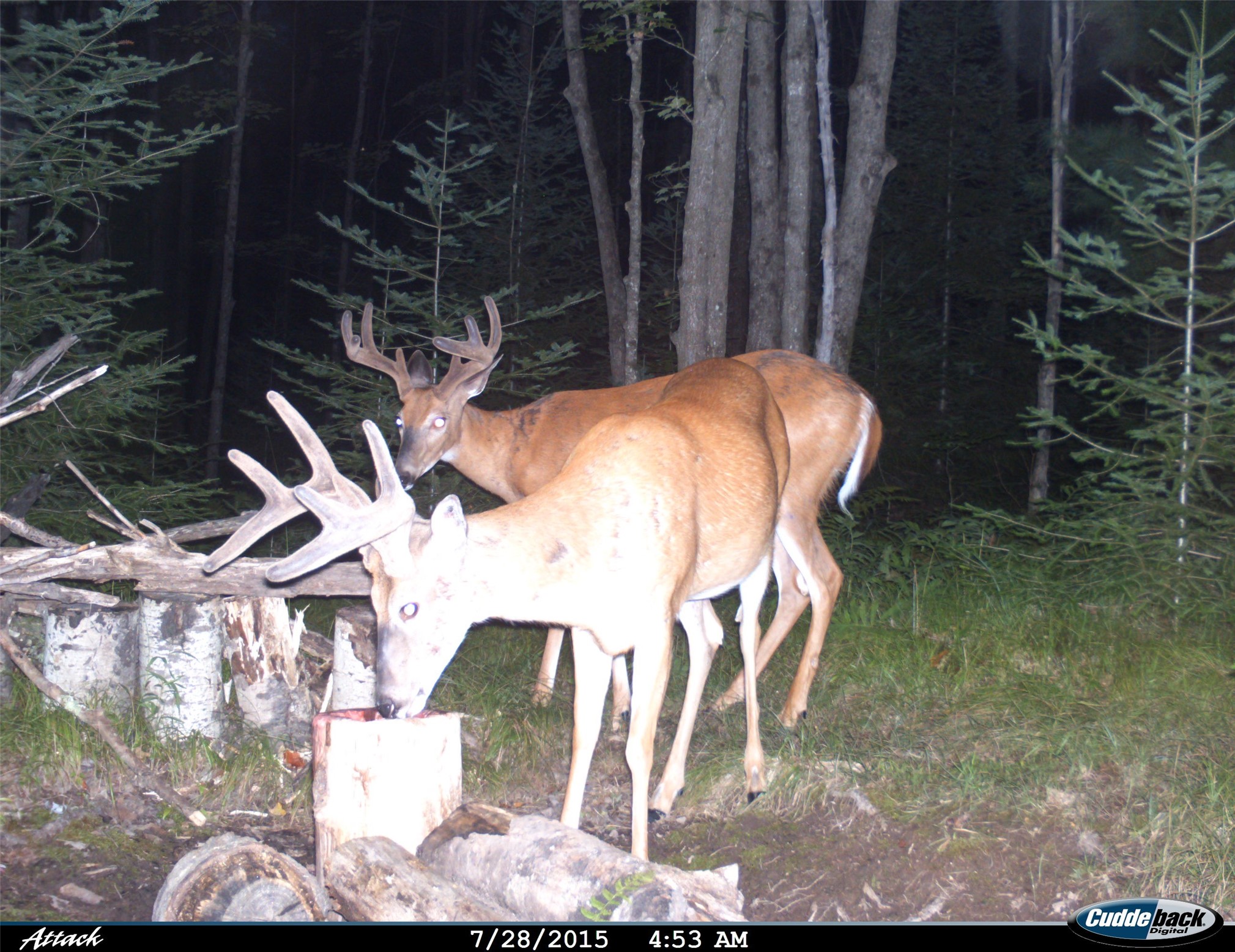 Property Photo #7
