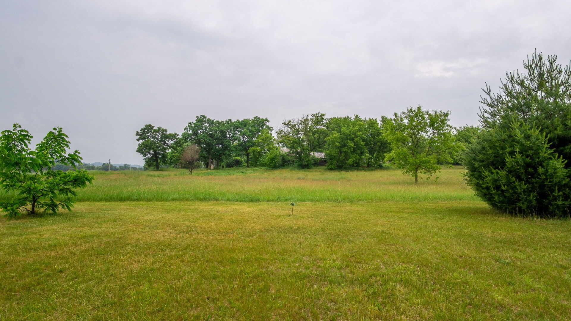Property Photo #37