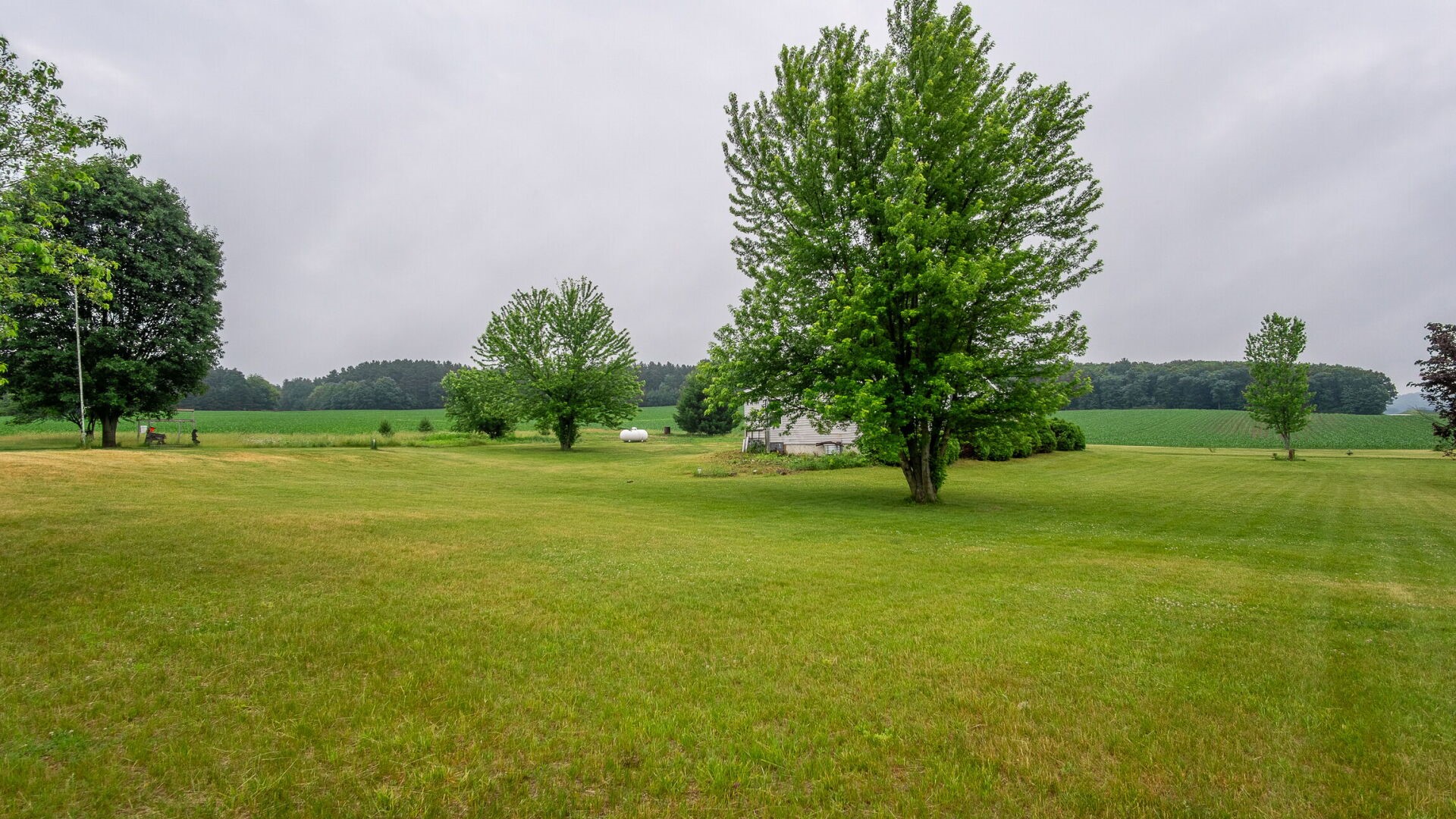 Property Photo #38