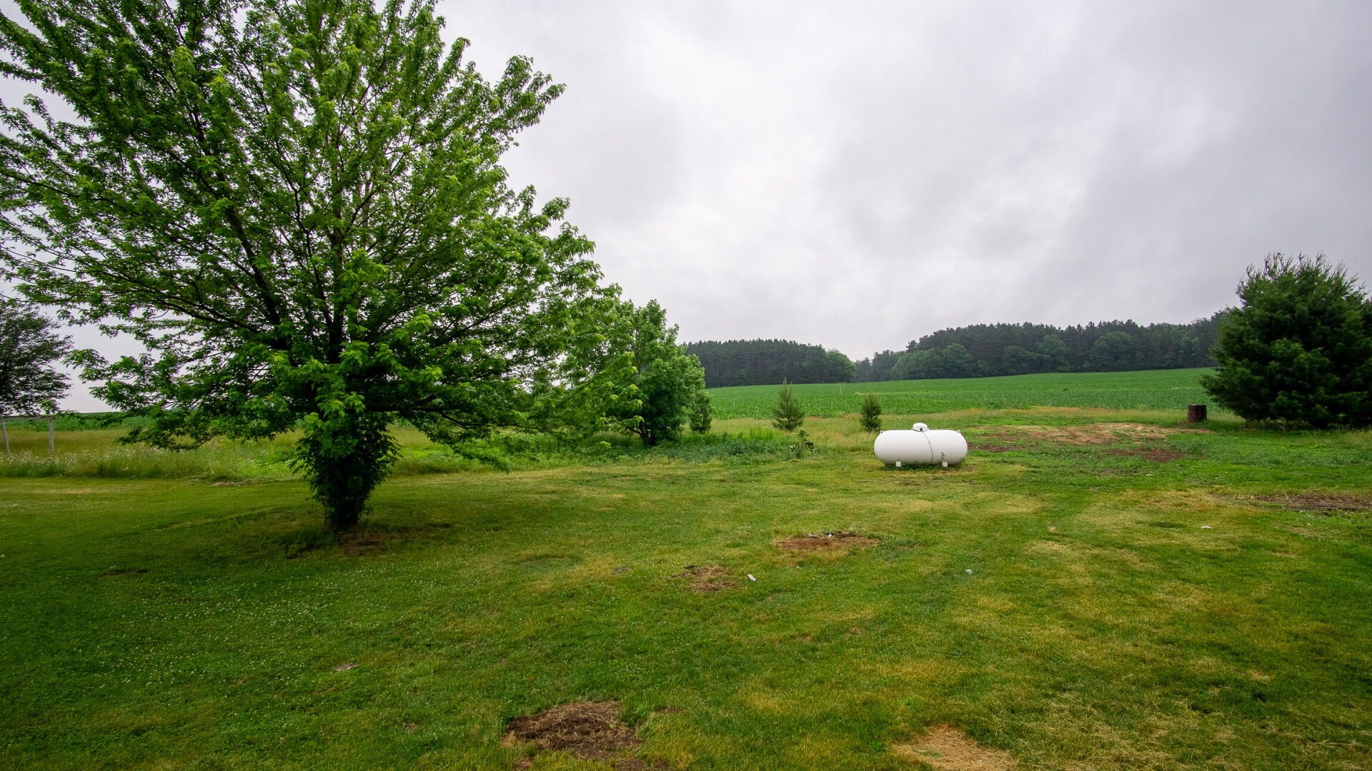 Property Photo #42
