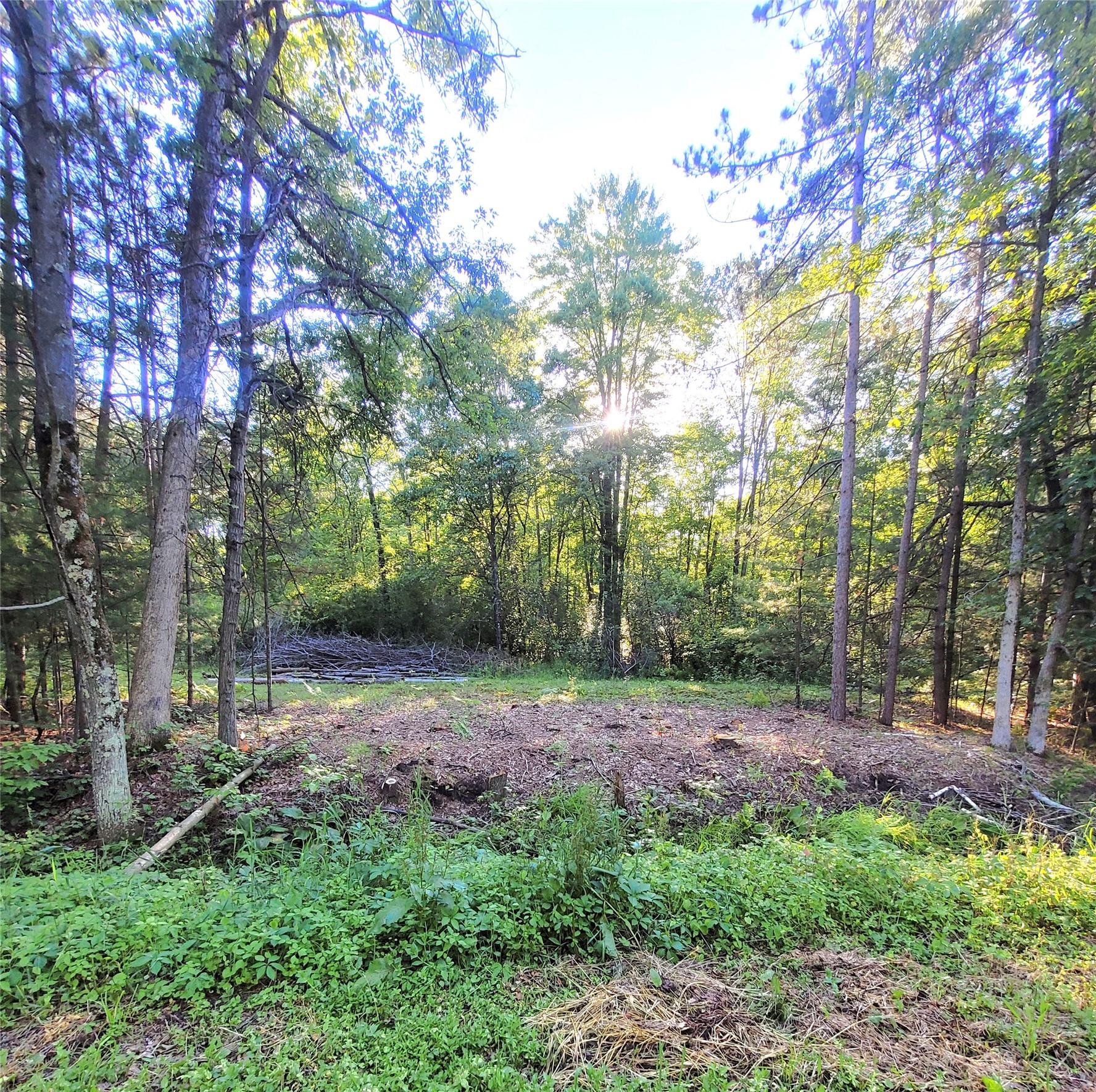 Merrillan - Land Real Estate