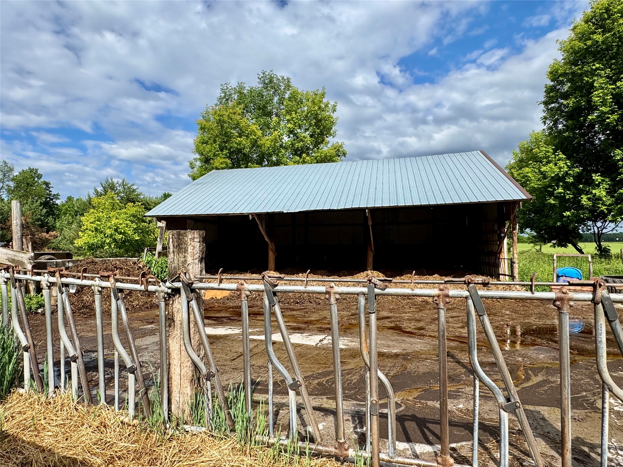 Property Photo #34