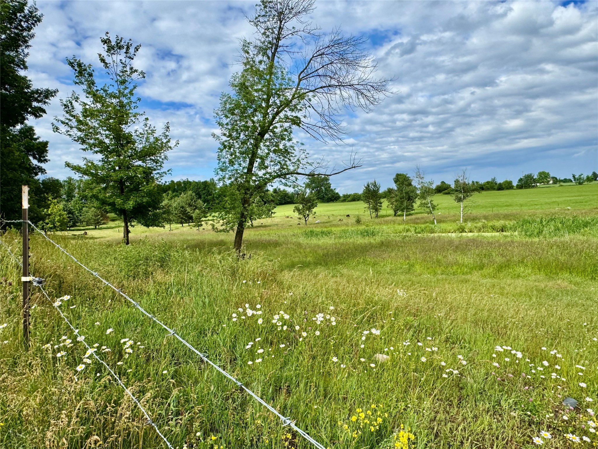 Property Photo #35
