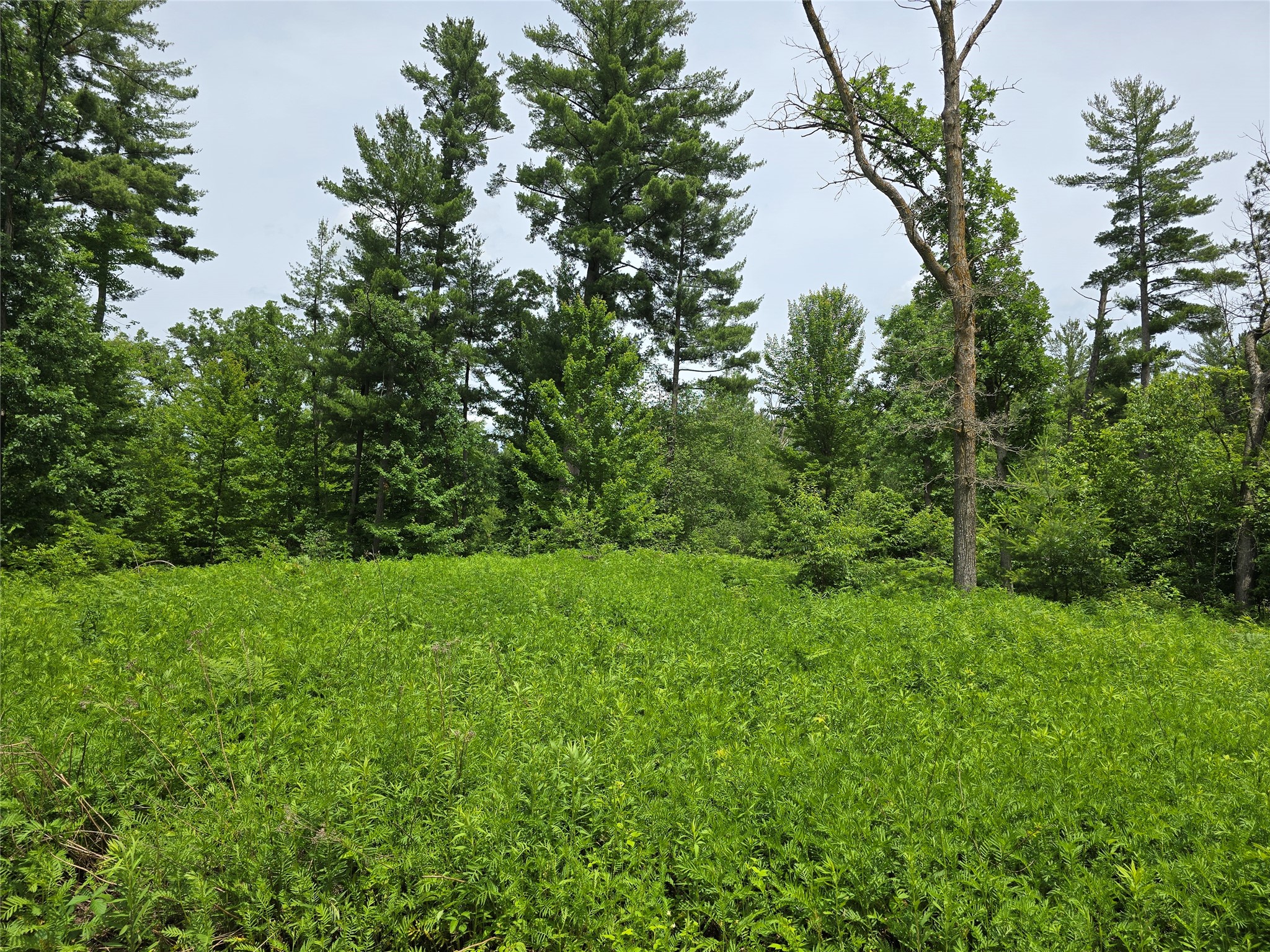 Property Photo #2