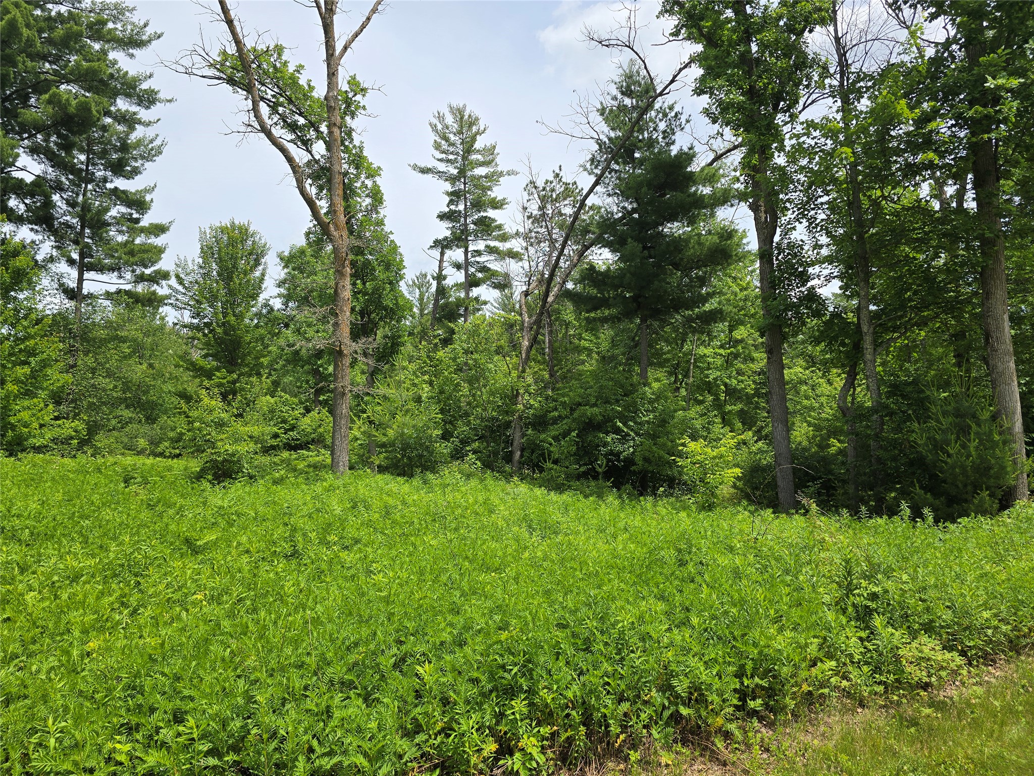 Property Photo #3