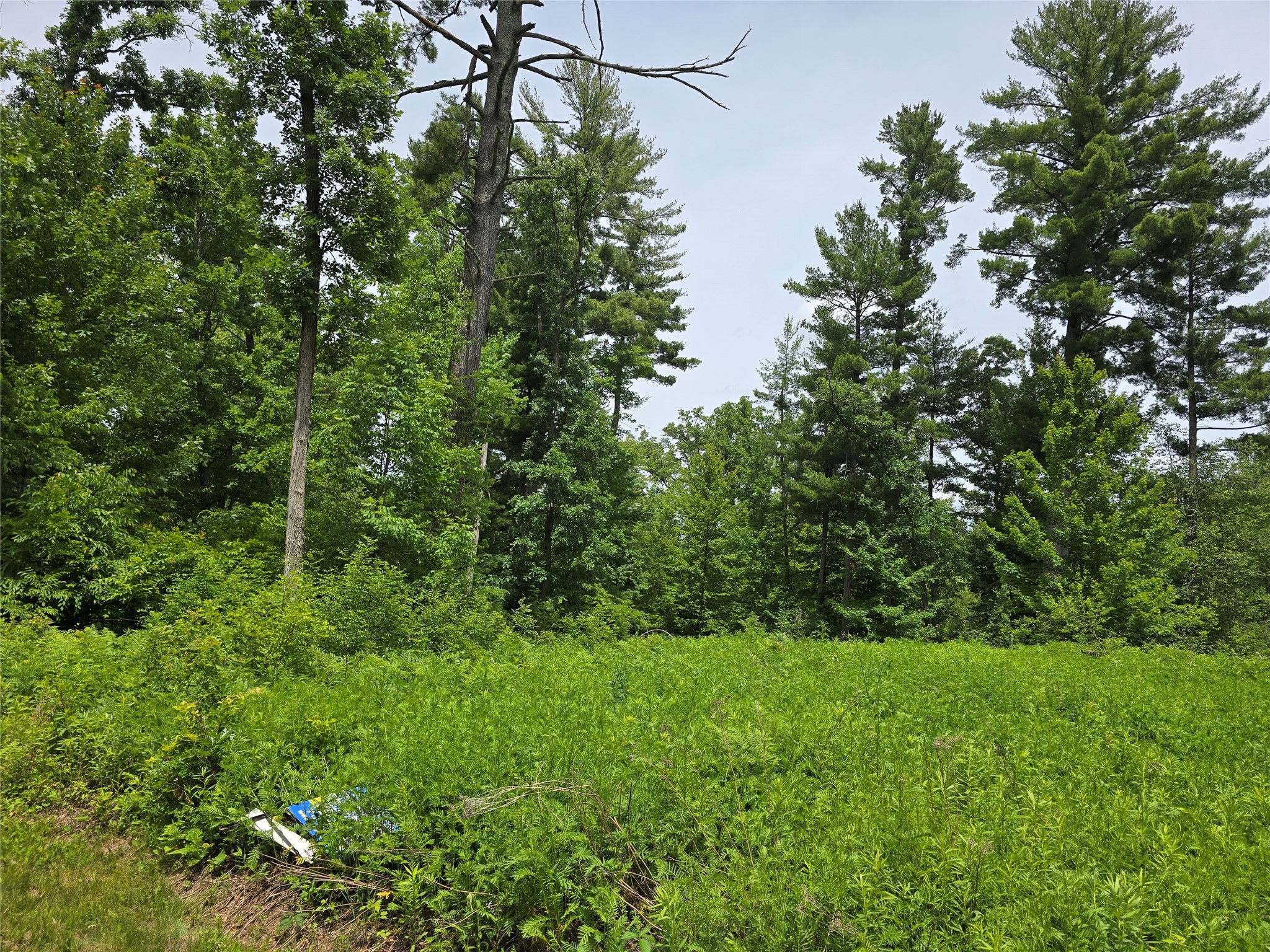 Property Photo #4