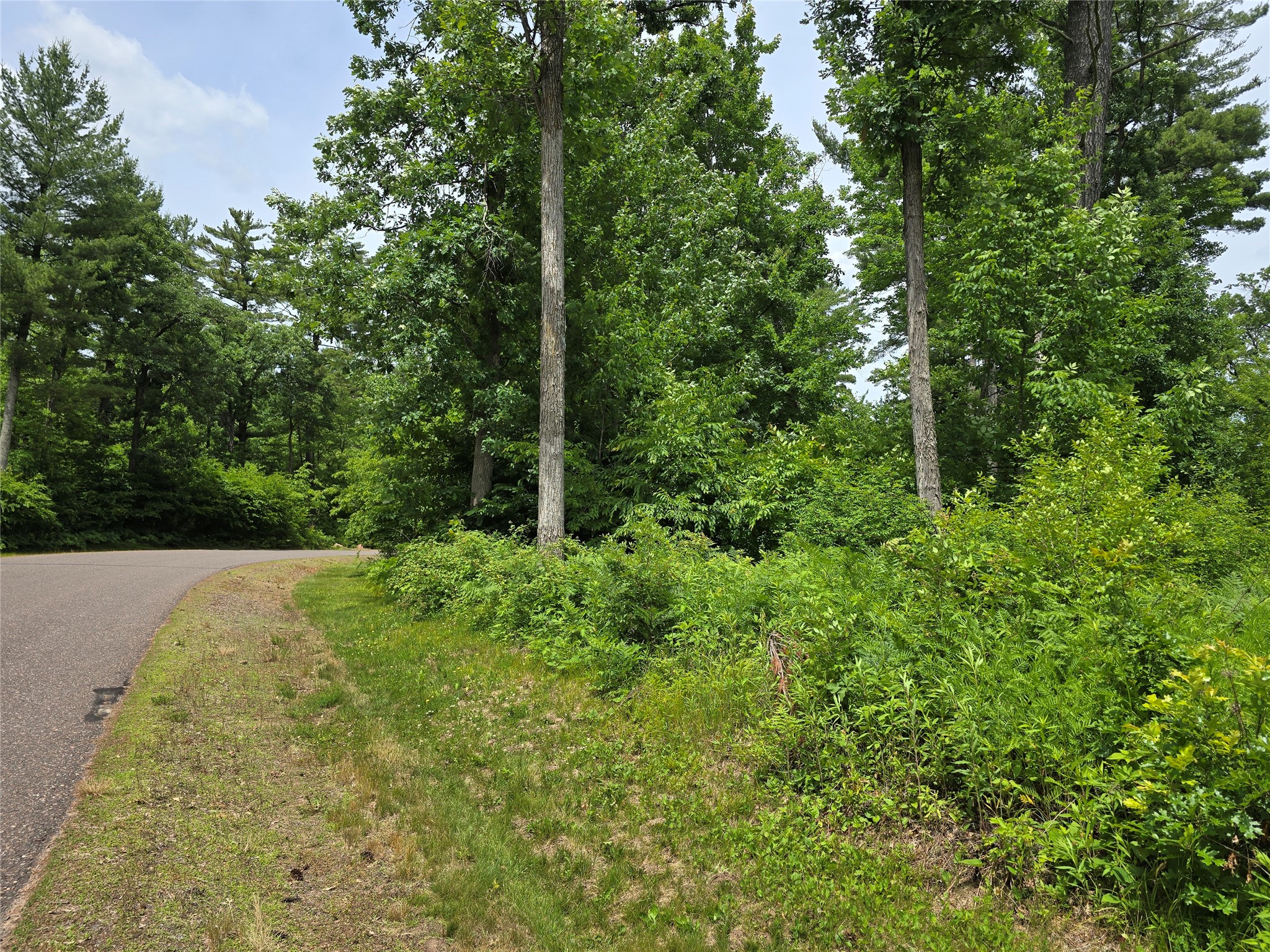 Property Photo #6