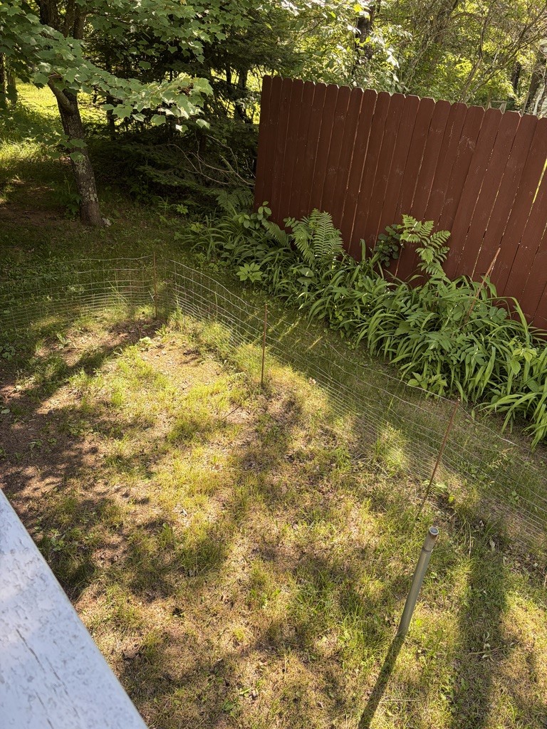 Property Photo #30