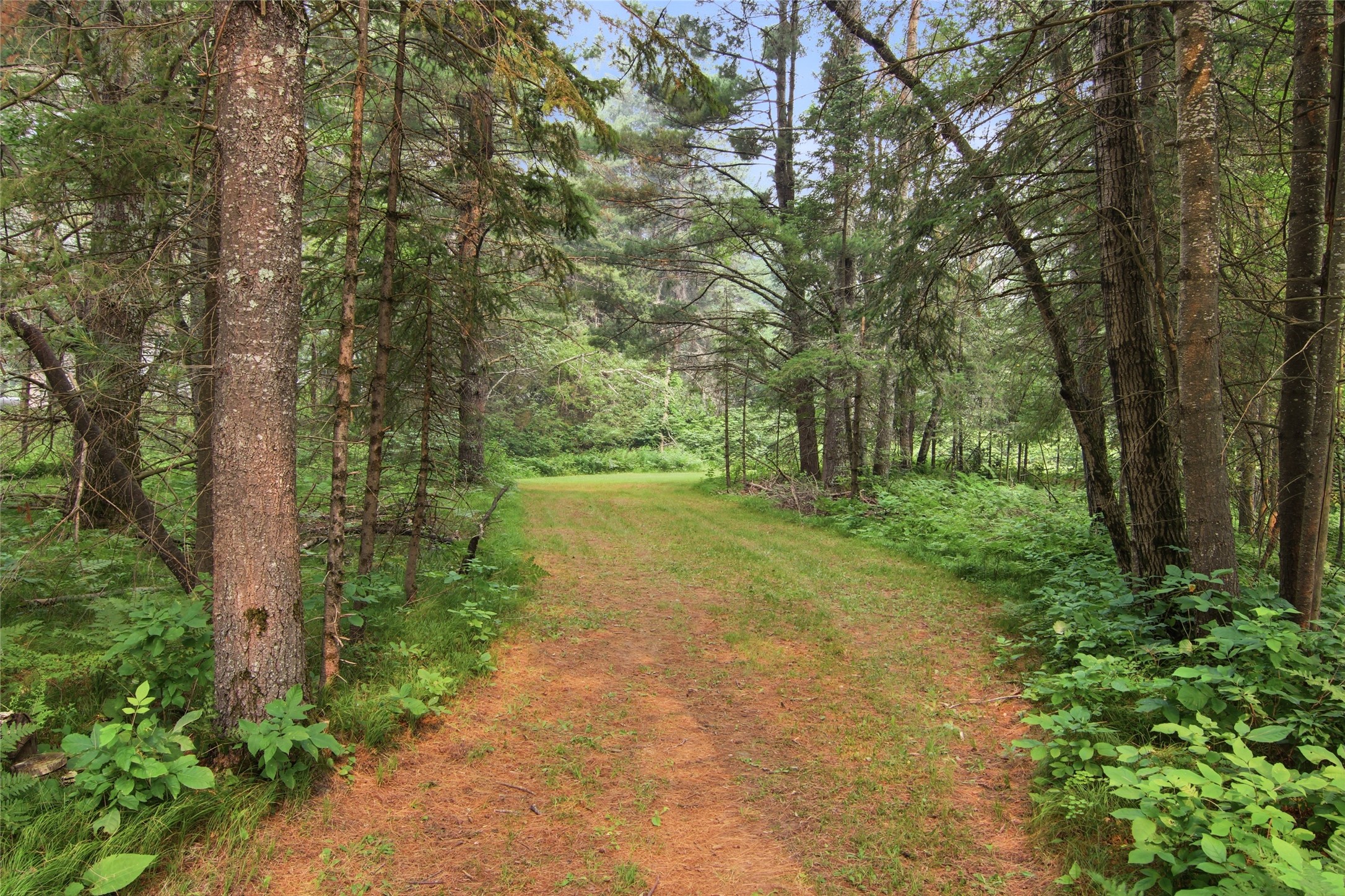 Property Photo #10