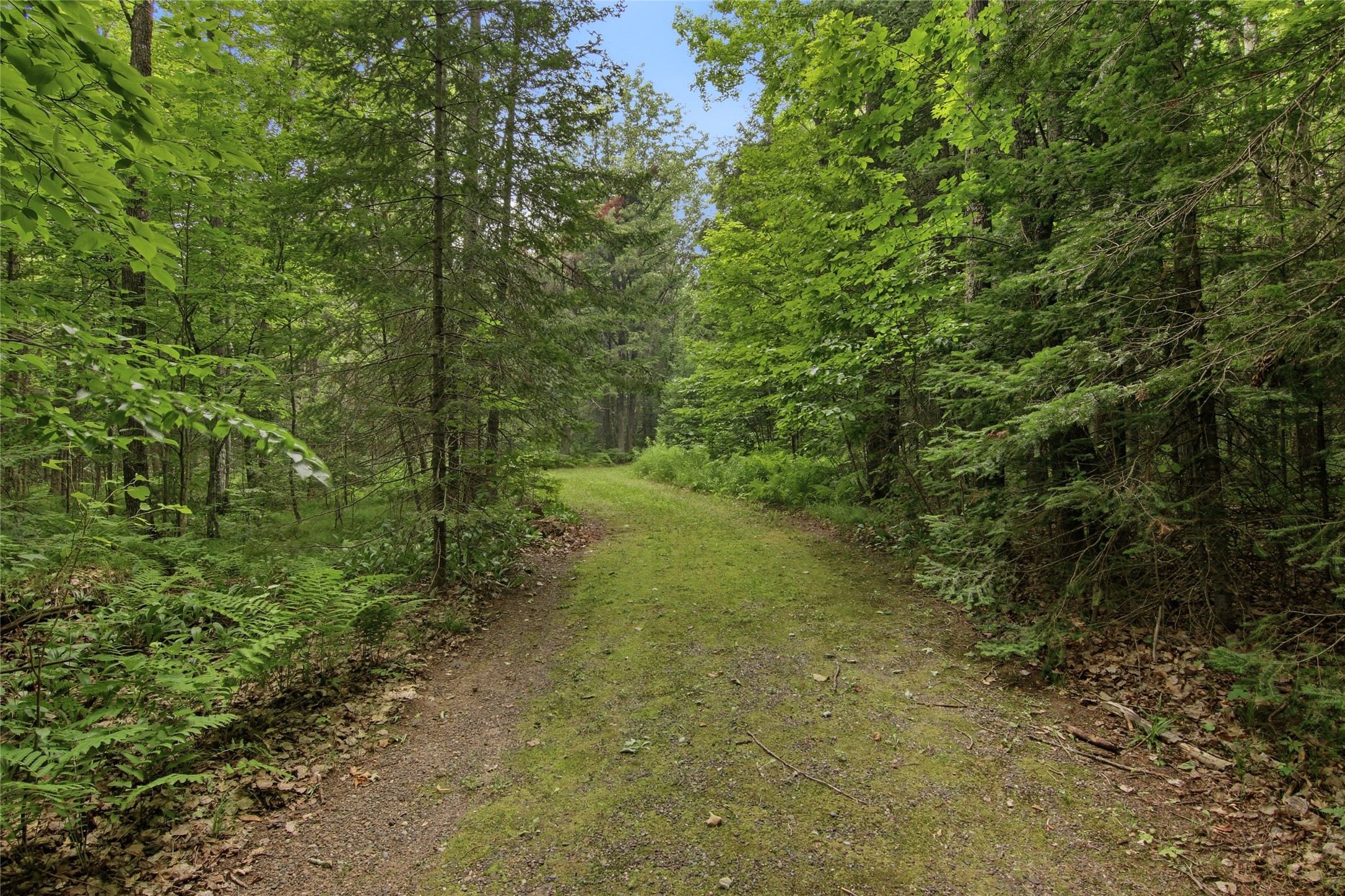 Property Photo #11