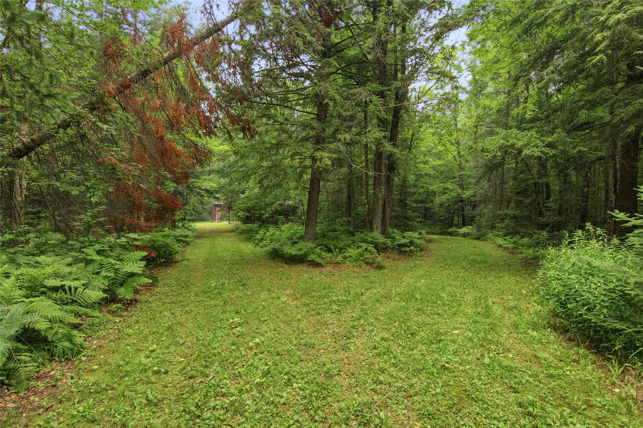 Property Photo #12