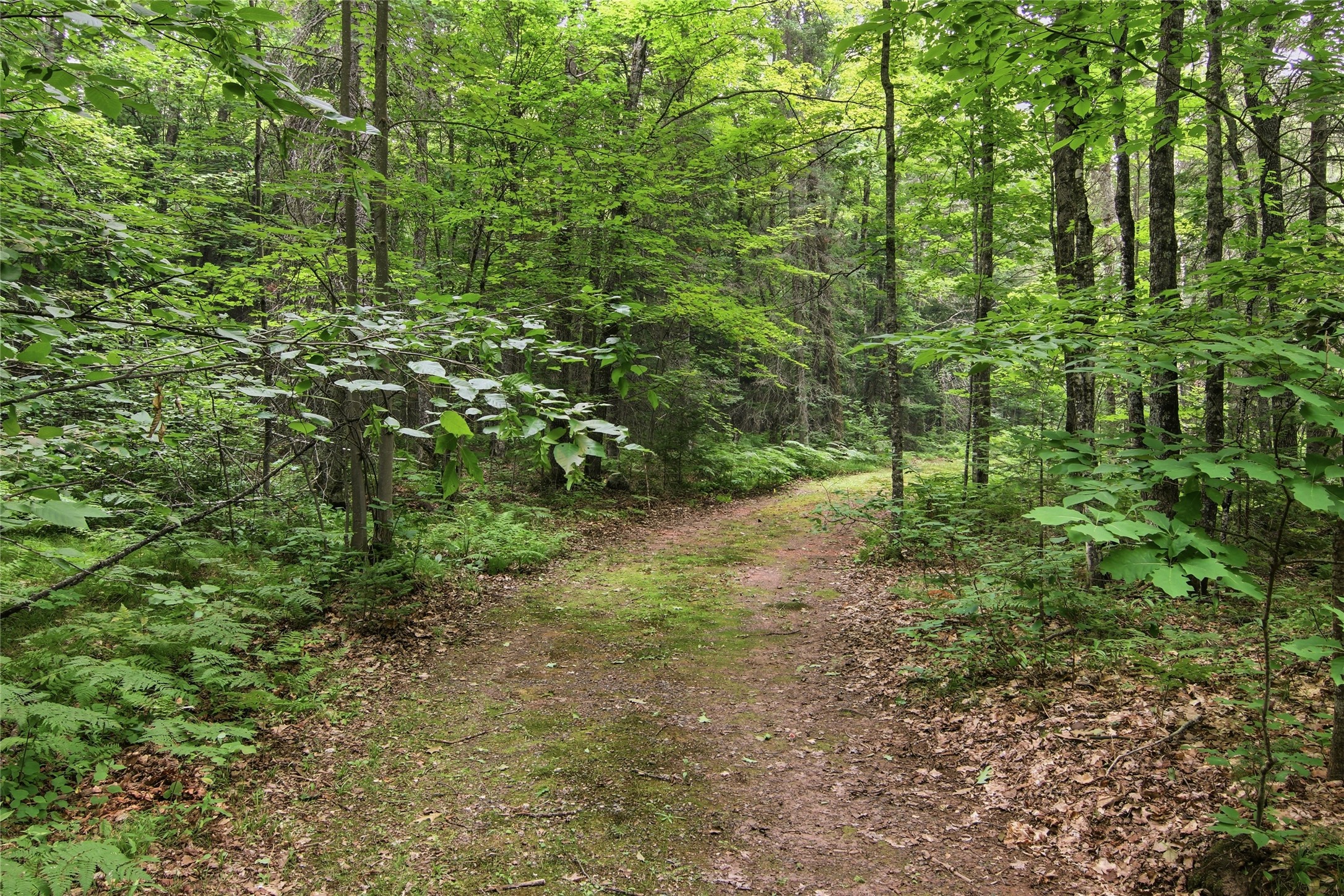 Property Photo #16