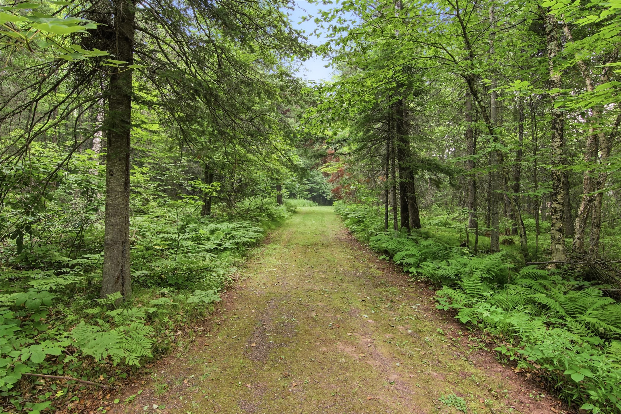 Property Photo #18