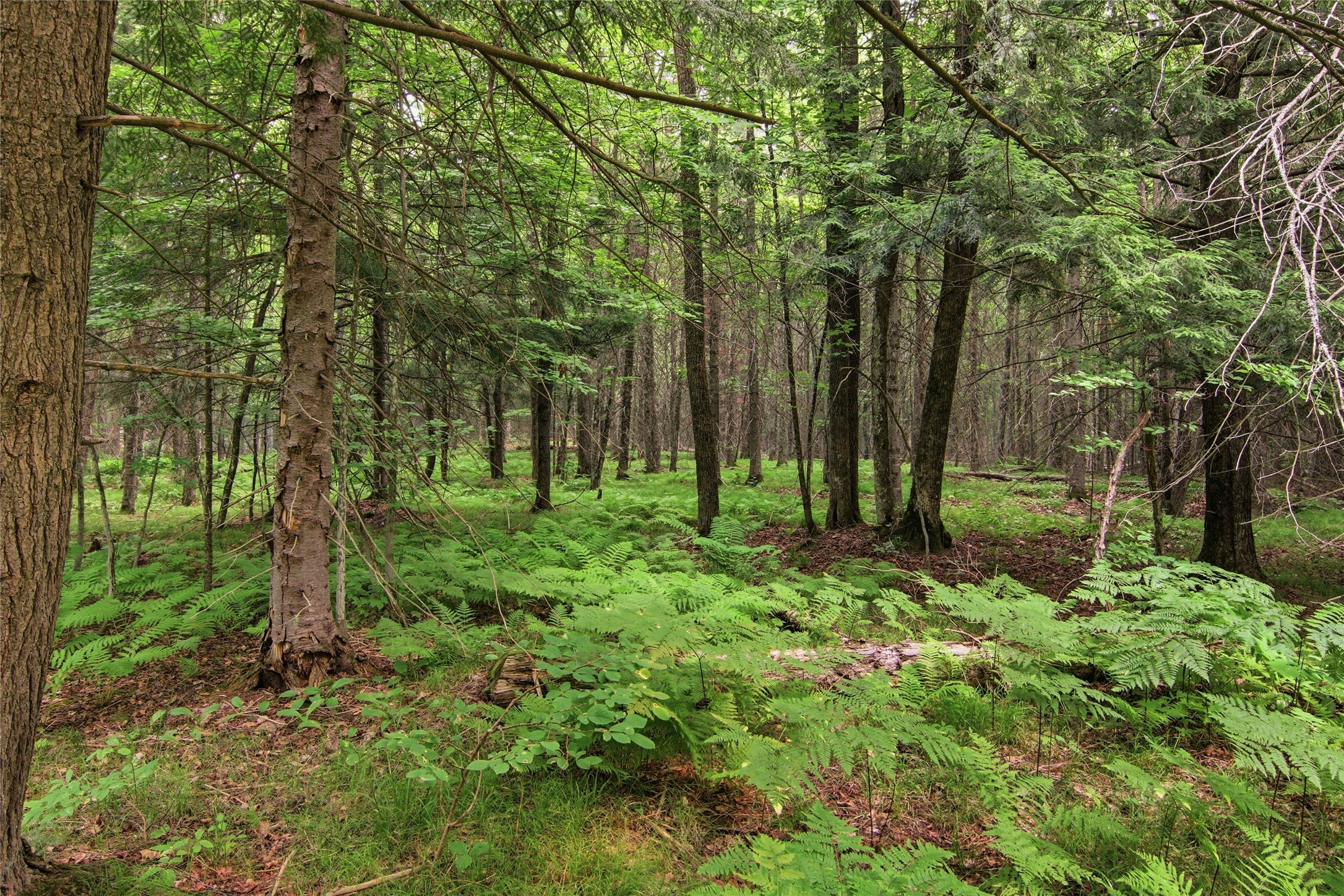 Property Photo #19