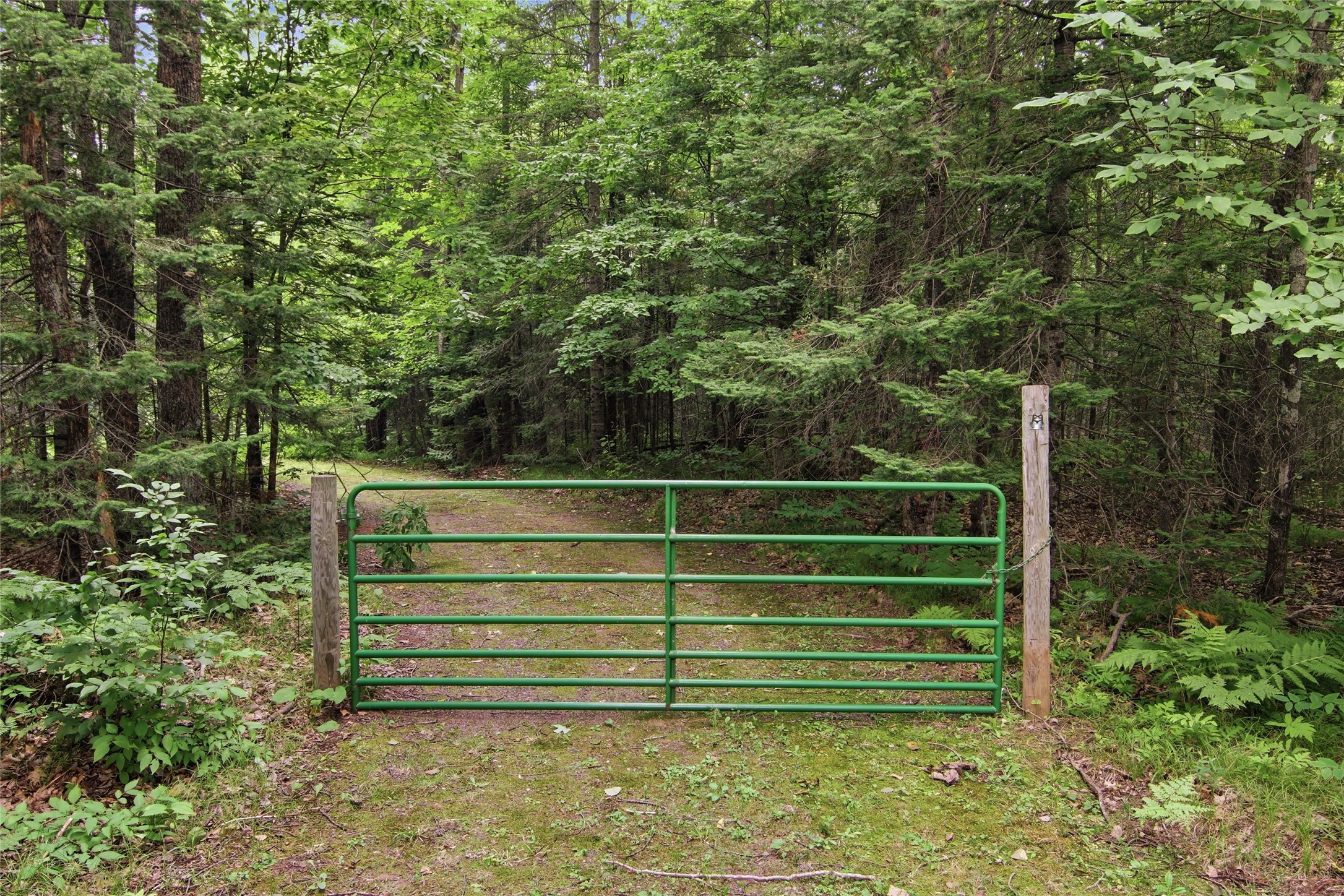 Property Photo #20