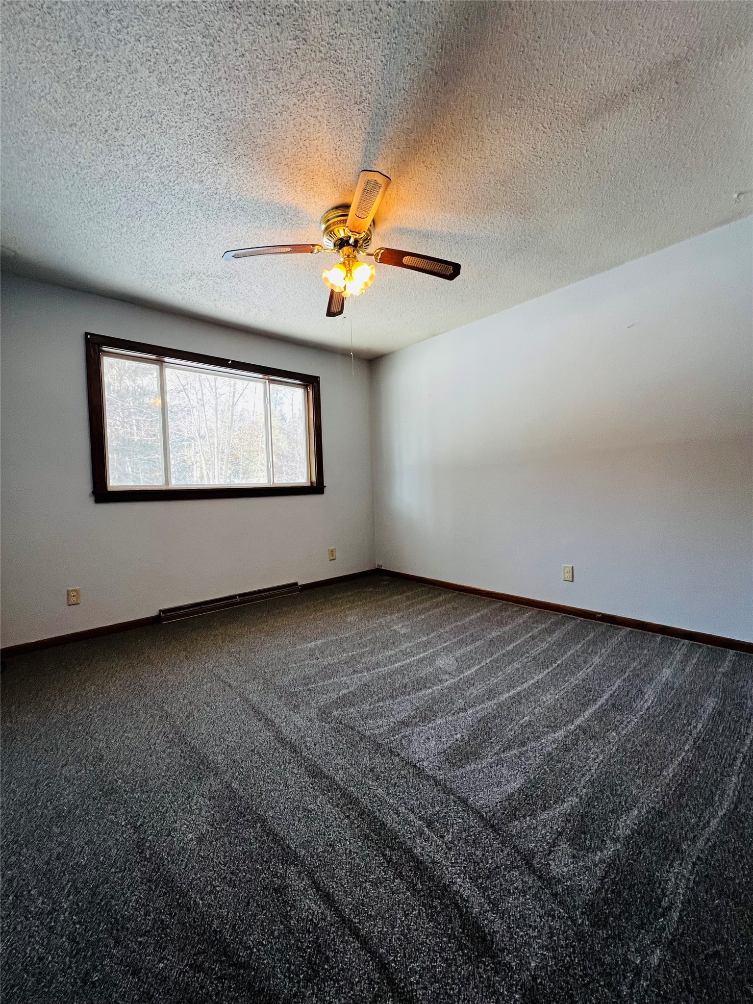 Property Photo #16