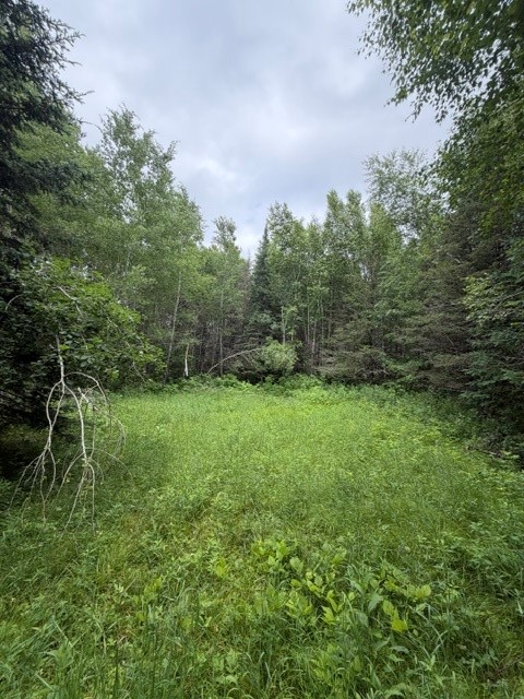 Trego Land Real Estate
