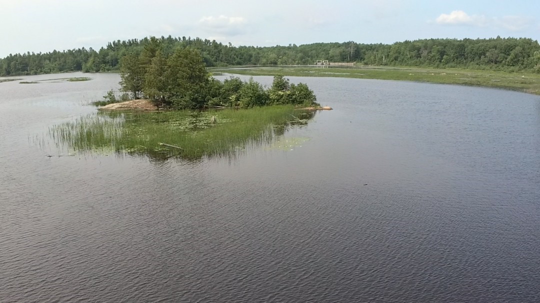 Photo 42