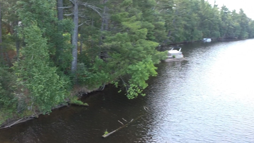 Photo 45