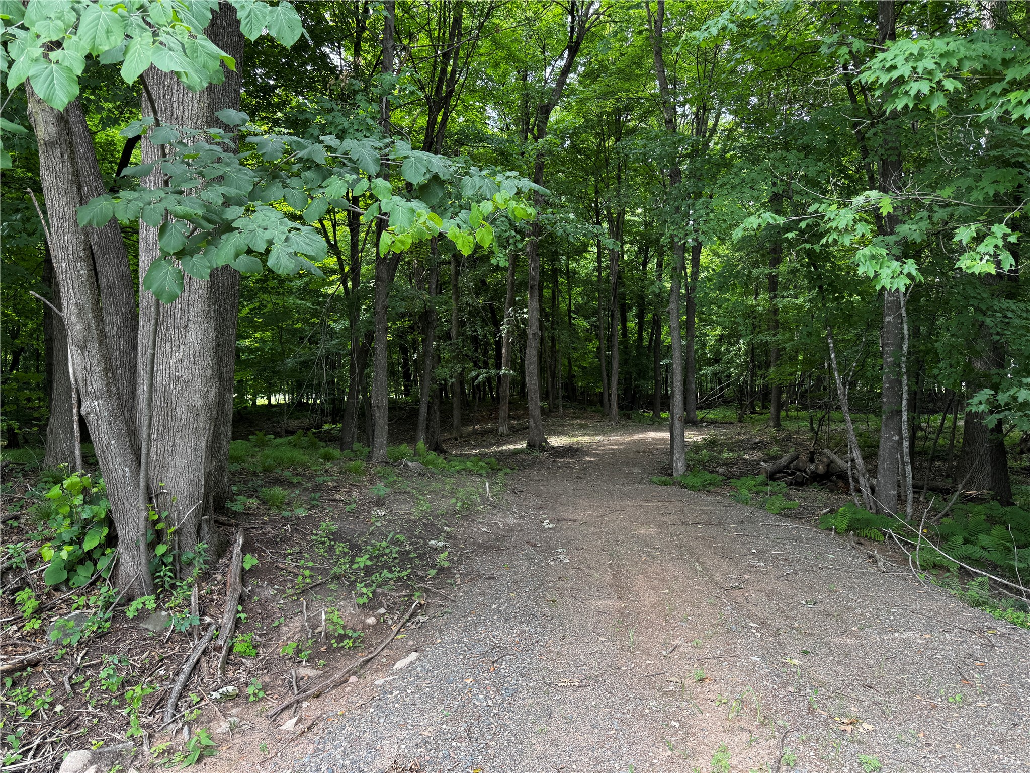 Balsam Lake - Land Real Estate