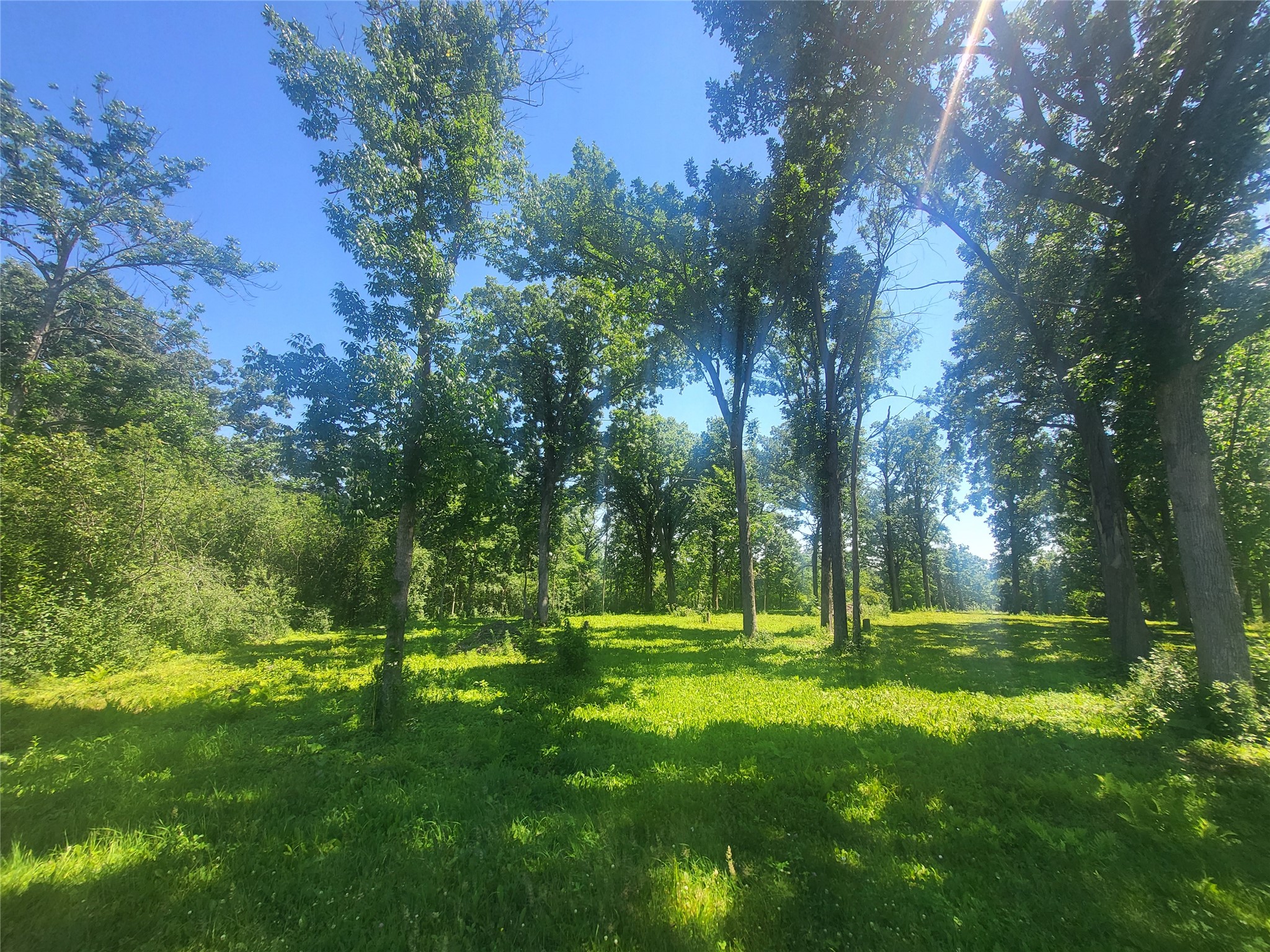 Rice Lake - Land Real Estate