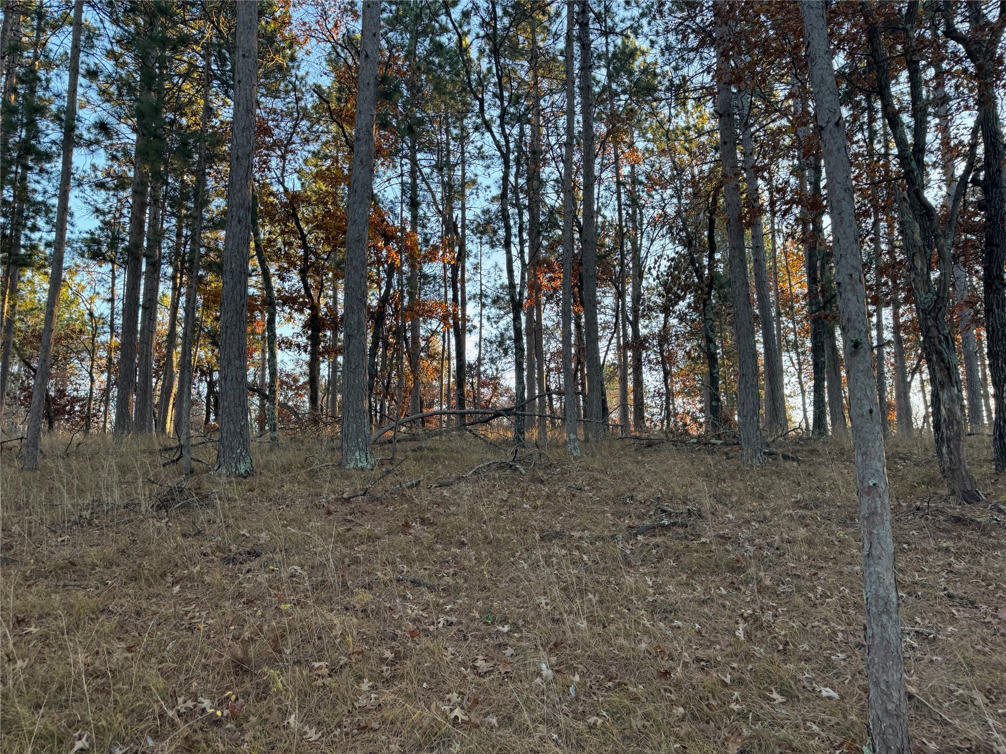 Thumbnail 22