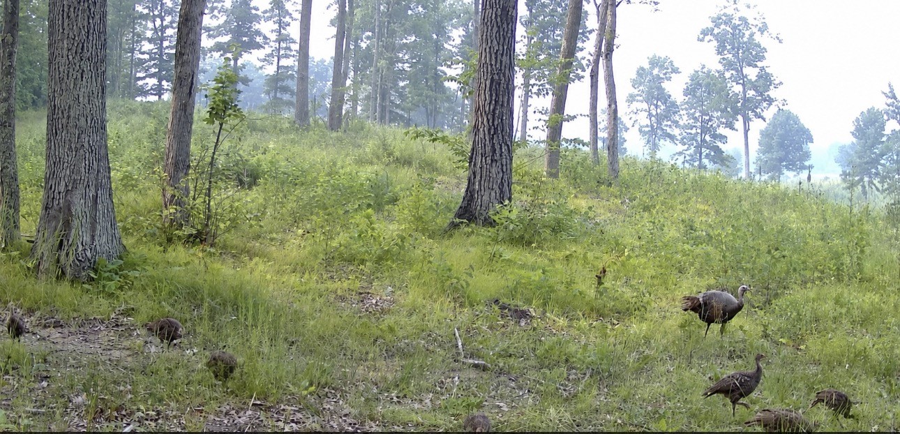 Thumbnail 19