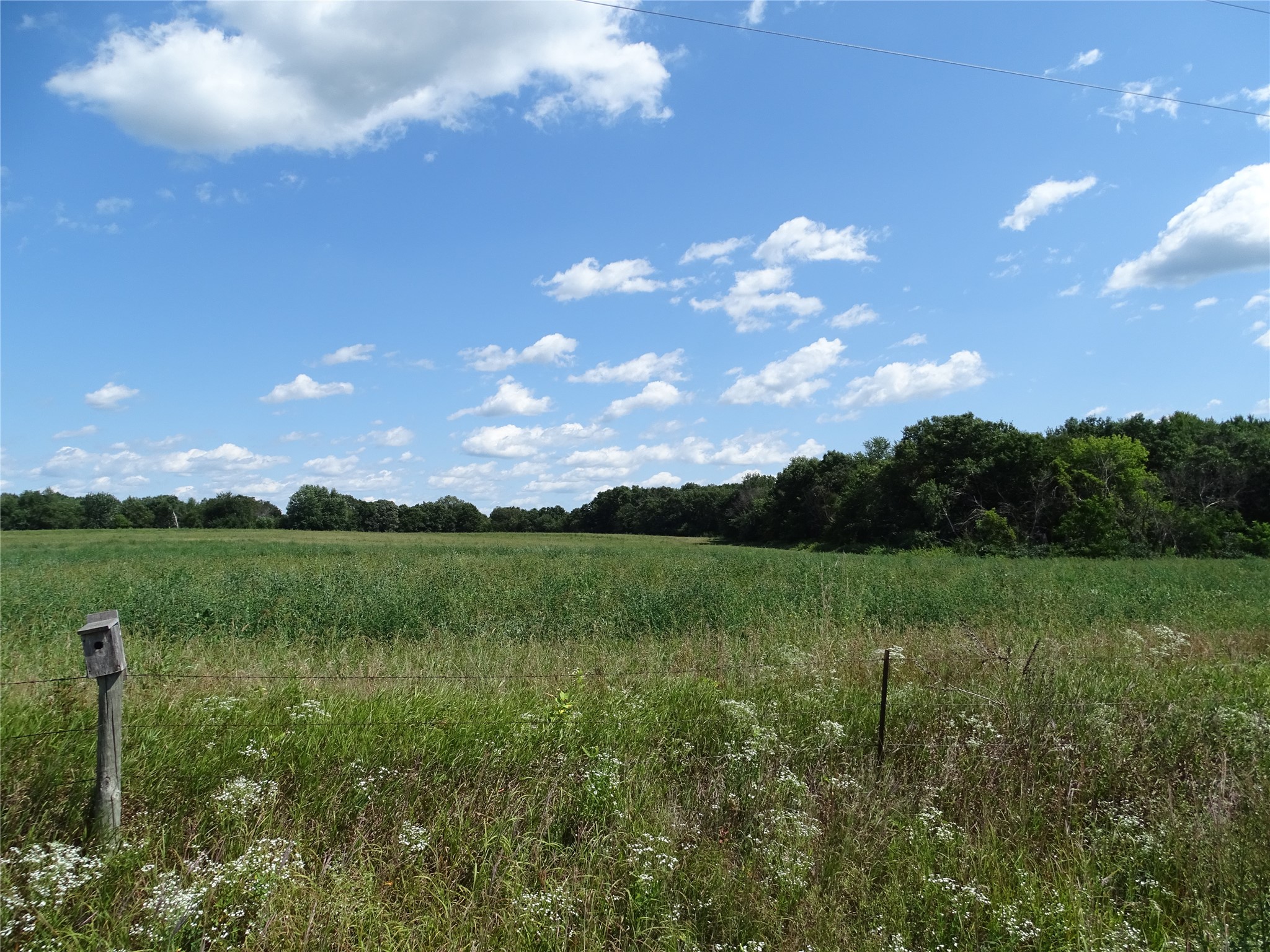 Photo of 000 810th, Mondovi, WI