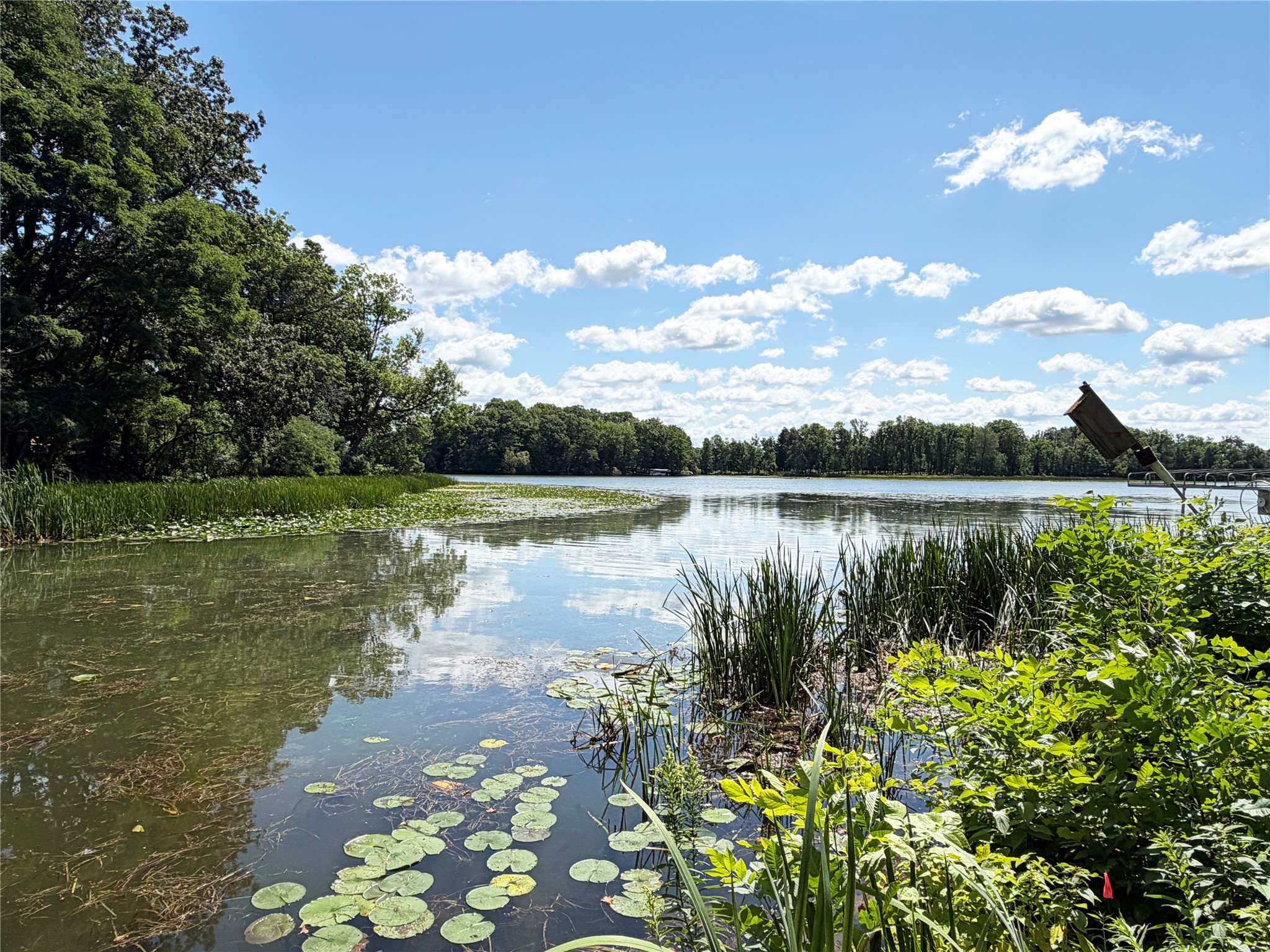 Rice Lake - Residential photo 4 of 31