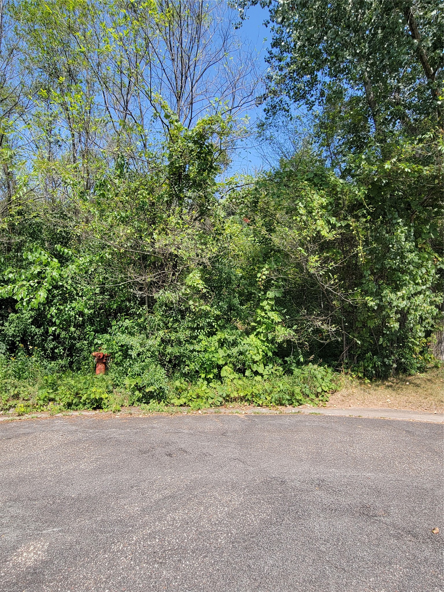 Photo of 302 Arbor Hills Circle