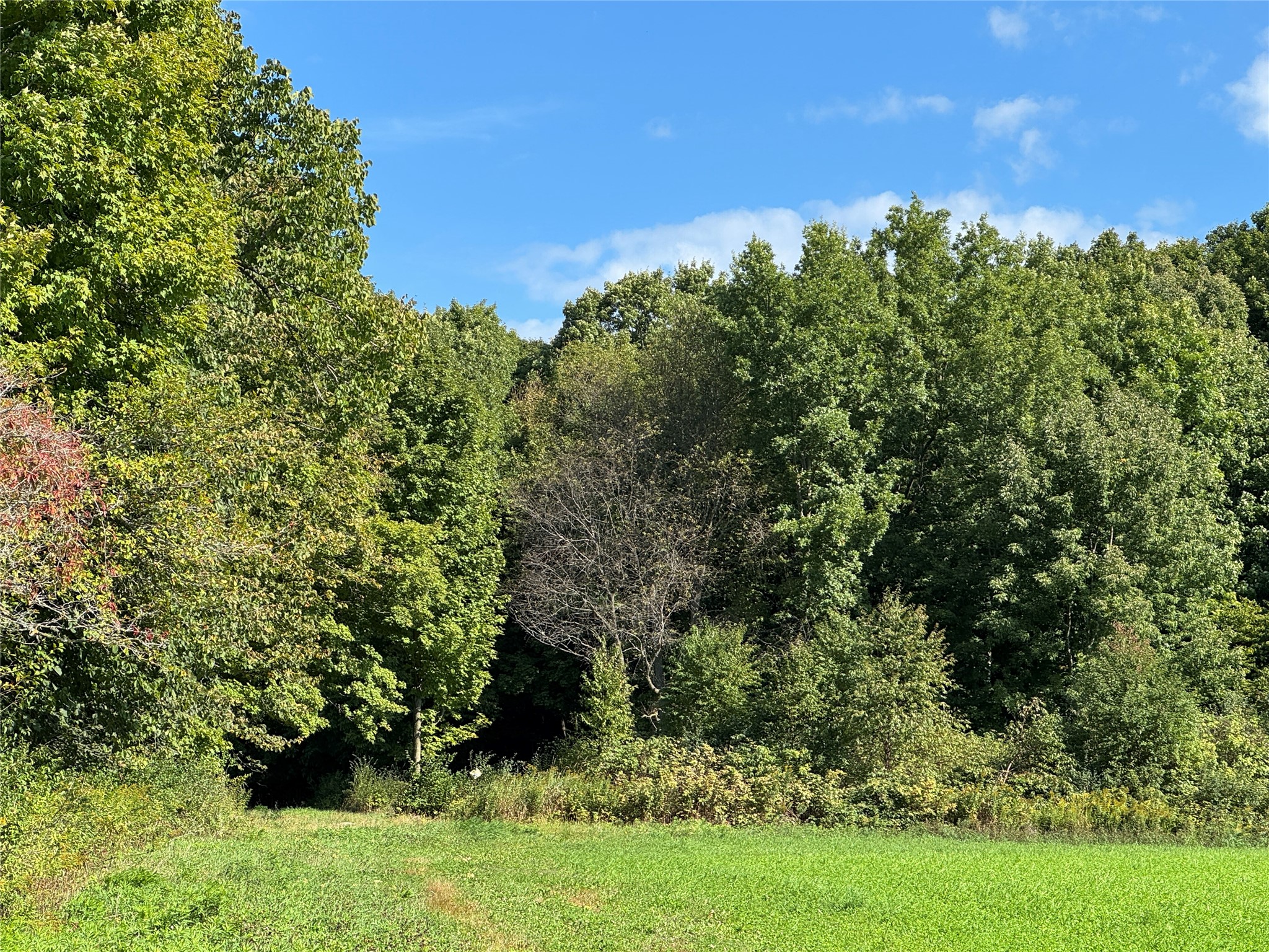 Merrill Land Real Estate