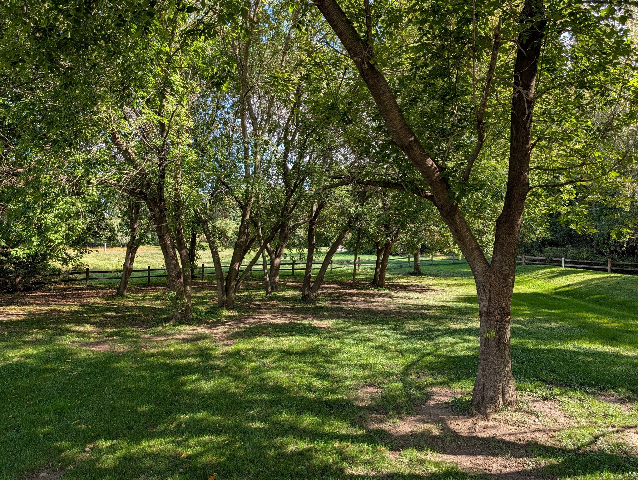 Menomonie - Residential photo 6 of 29