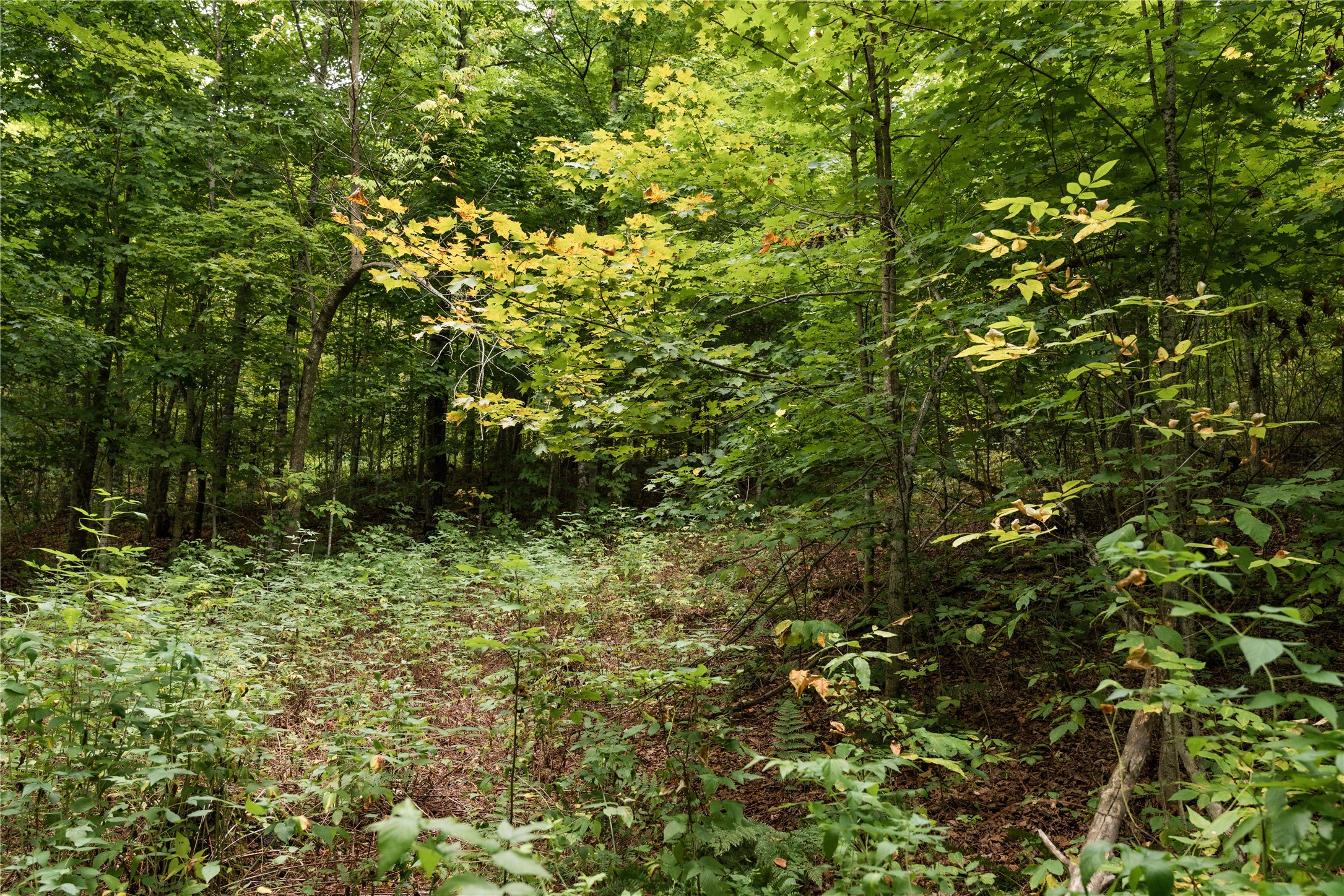 Property Photo #12