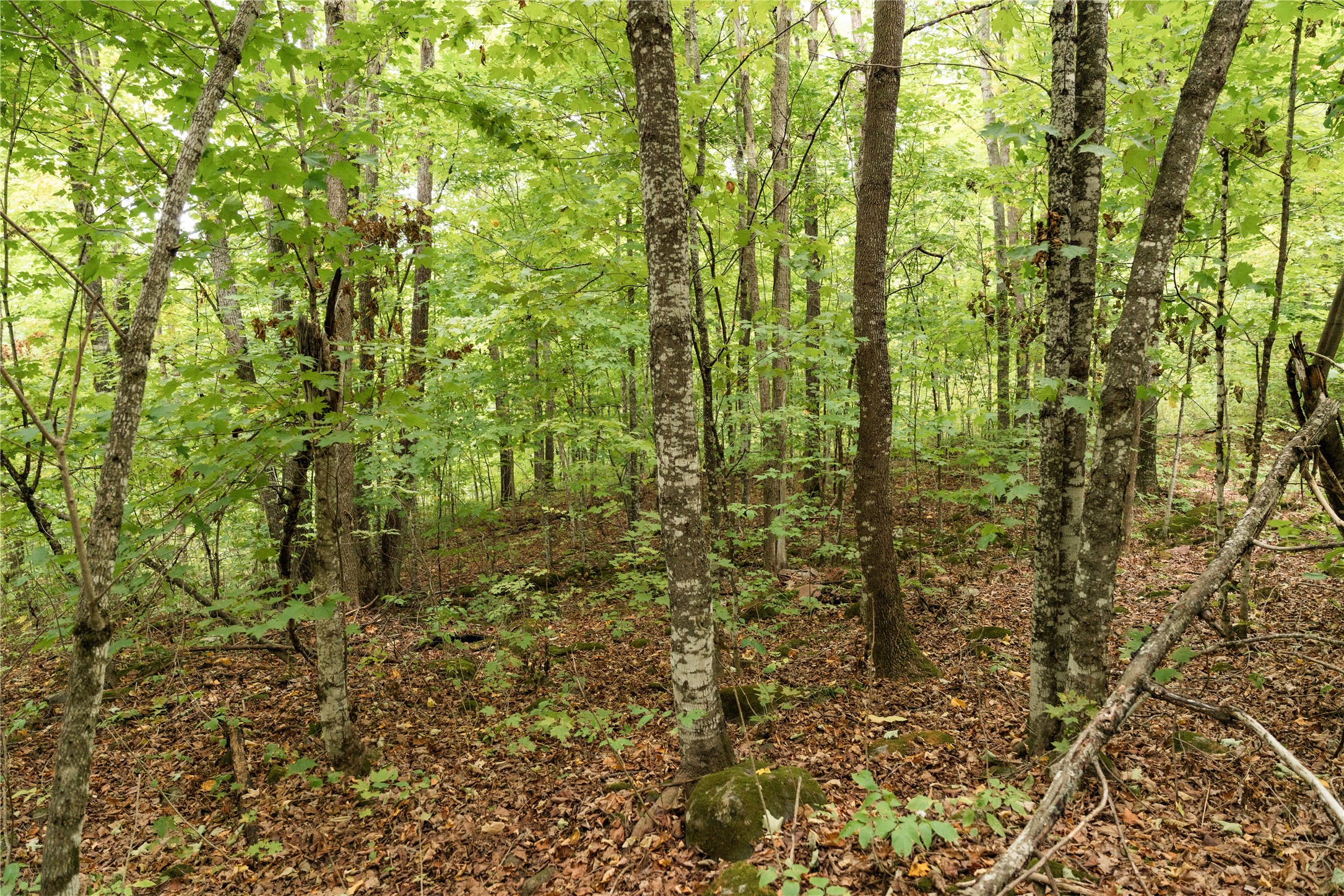 Property Photo #14