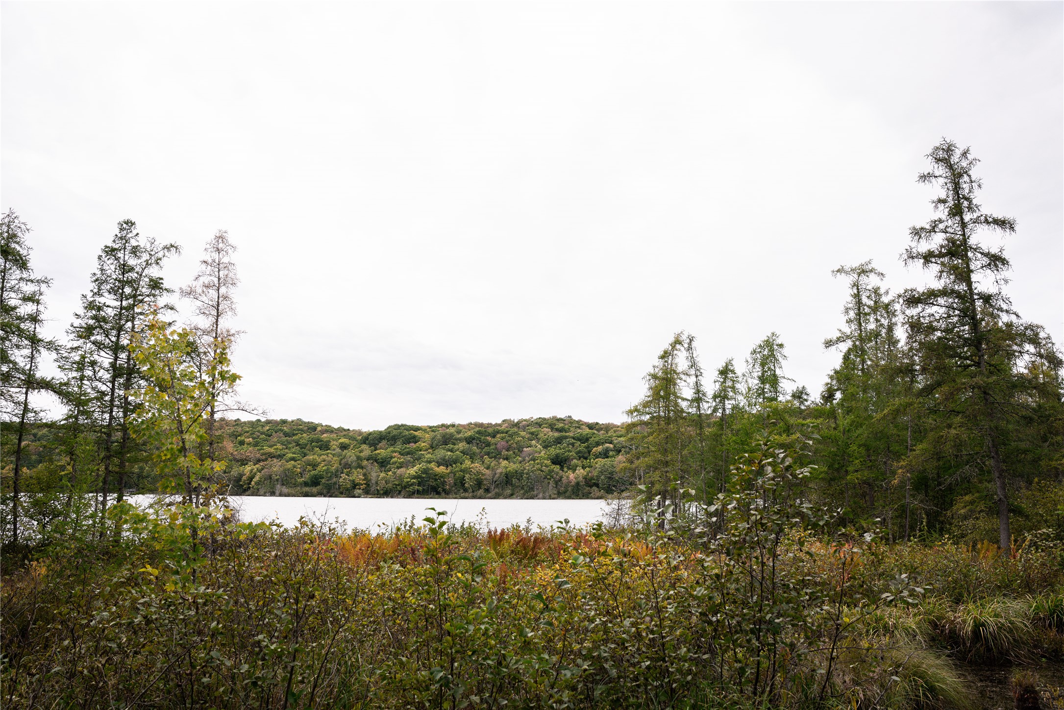 Property Photo #17