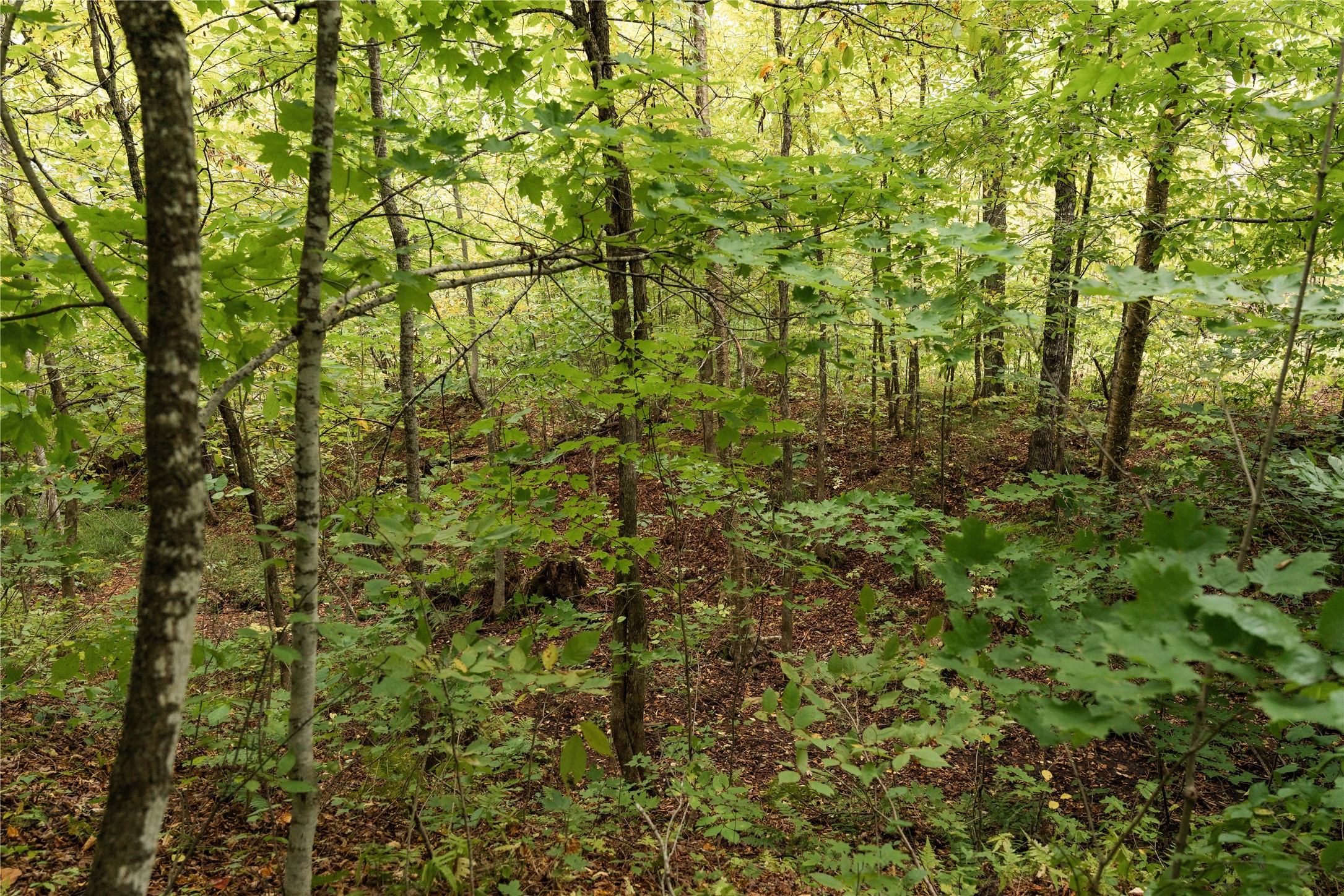 Property Photo #21