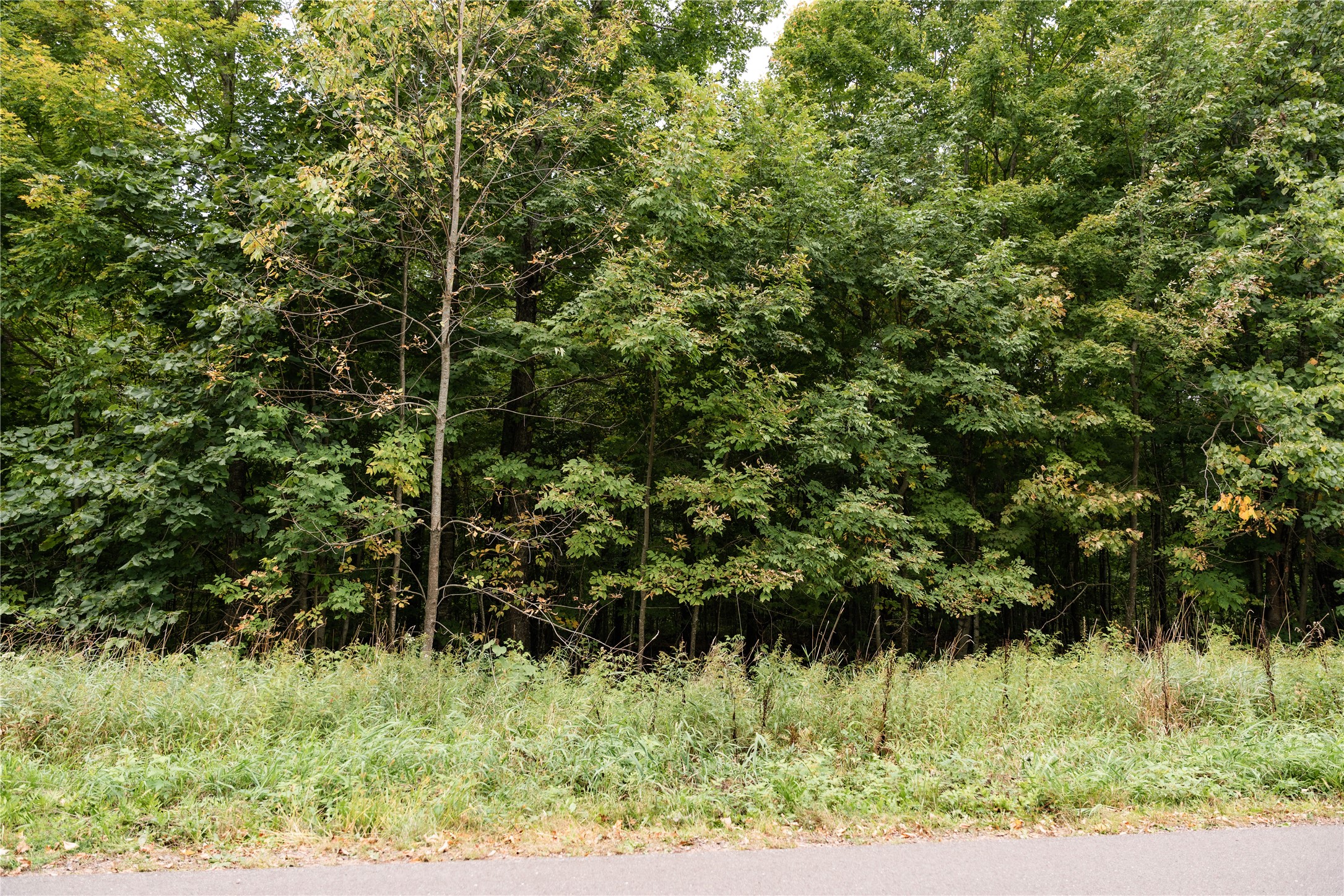 Property Photo #5