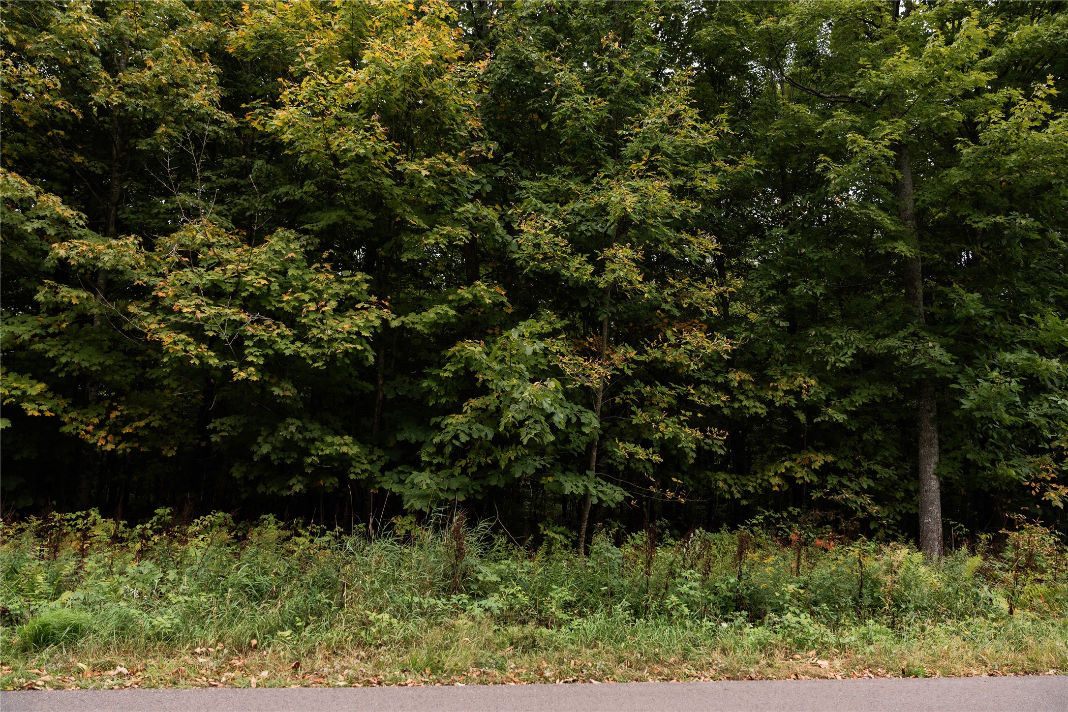Property Photo #6