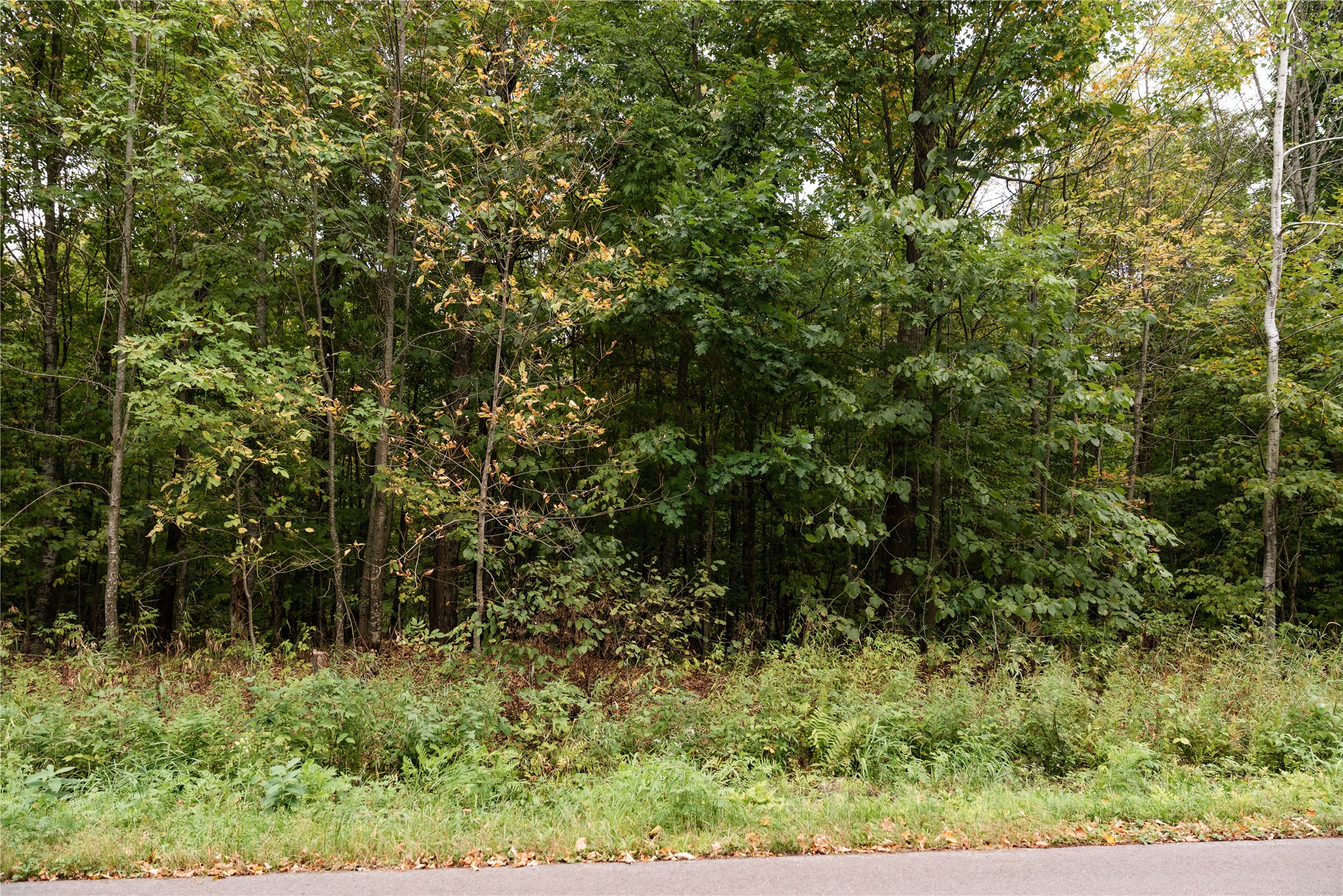 Property Photo #9